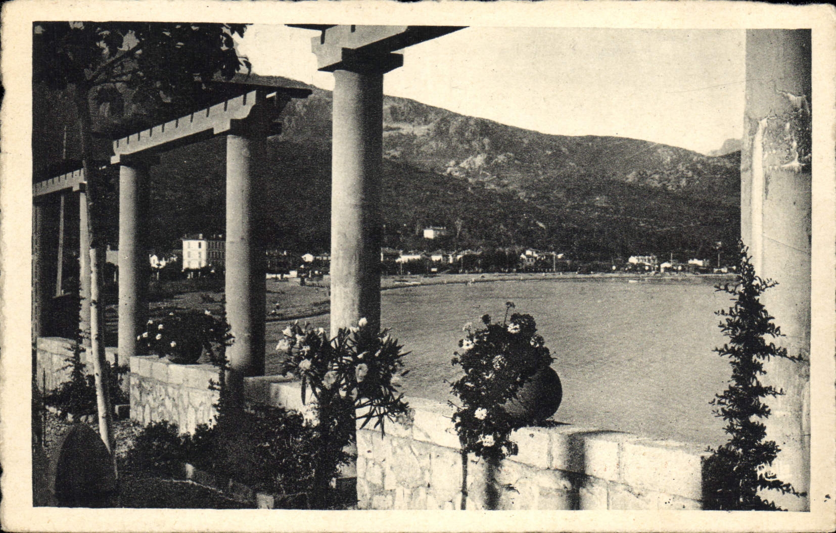 CPA Agay Lar Pergola fleurie 