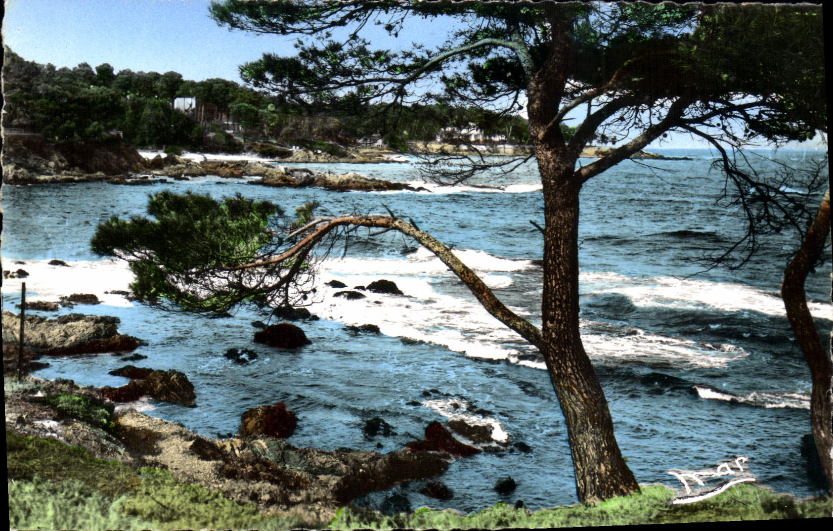 CPM Saint Aygulf Bord de mer