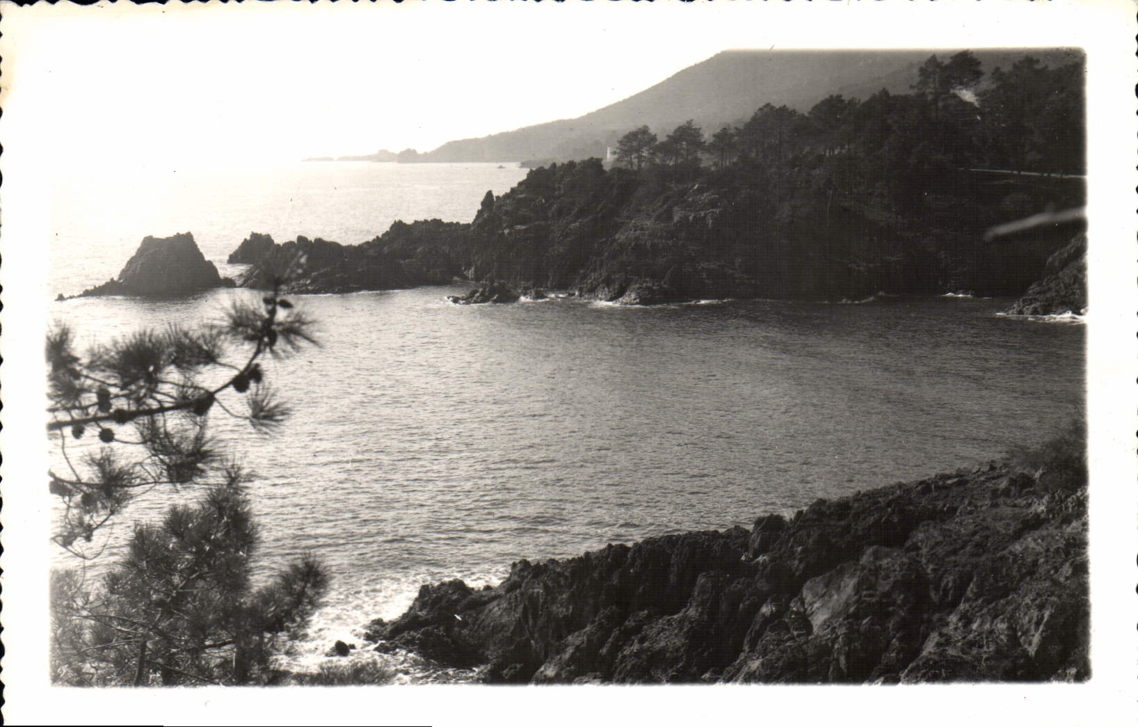 MODERN CARD the Creeks De I' Esterel