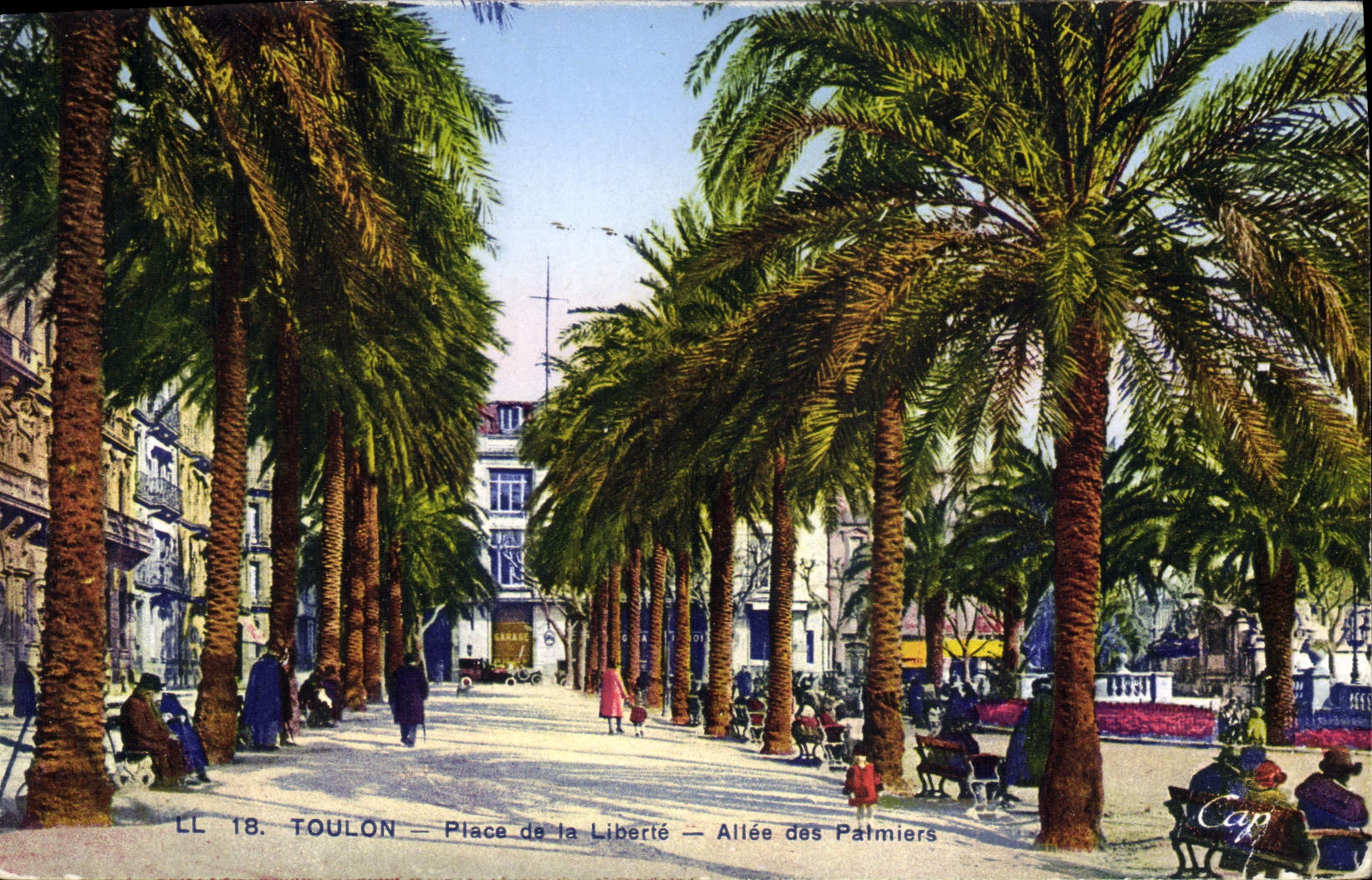 CPA Toulon Place De La Liberte Allee Des palmiers