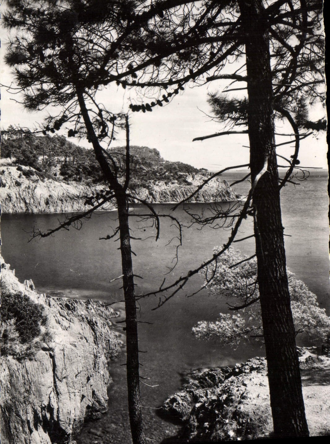 CPA La Corniche D'Or Bord De Mer Dans Le Trayas