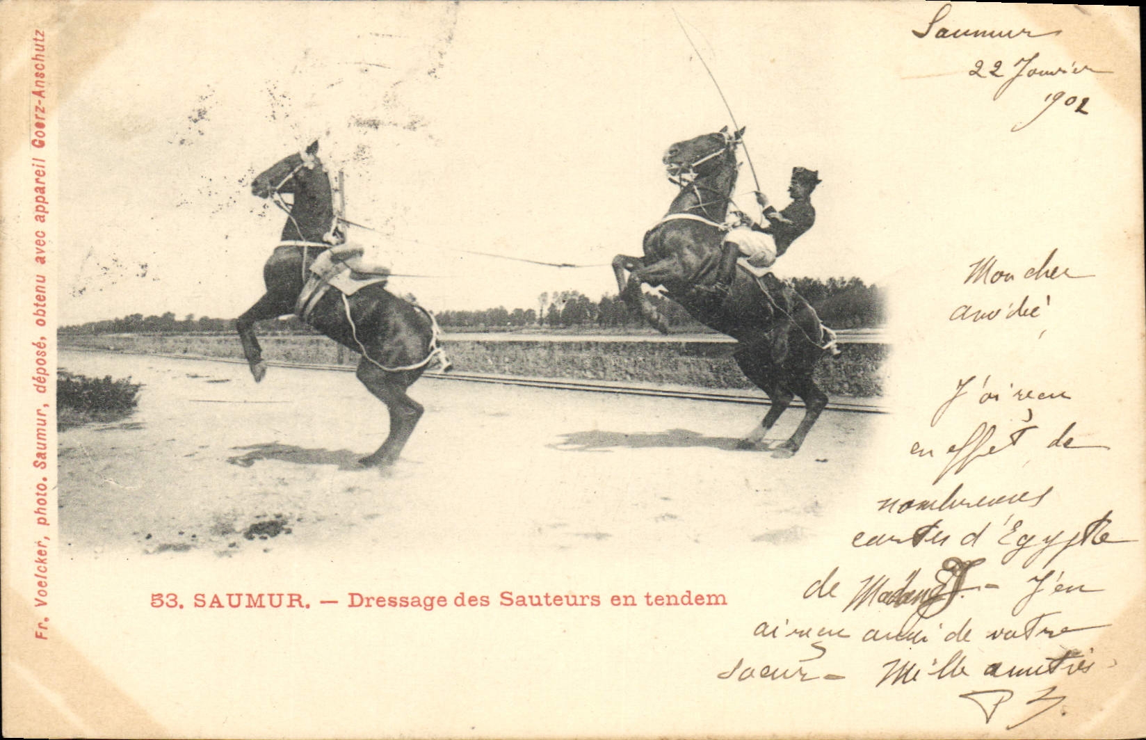 CPA Cheval Hippisme Saumur Dressage des sauteurs en tendem