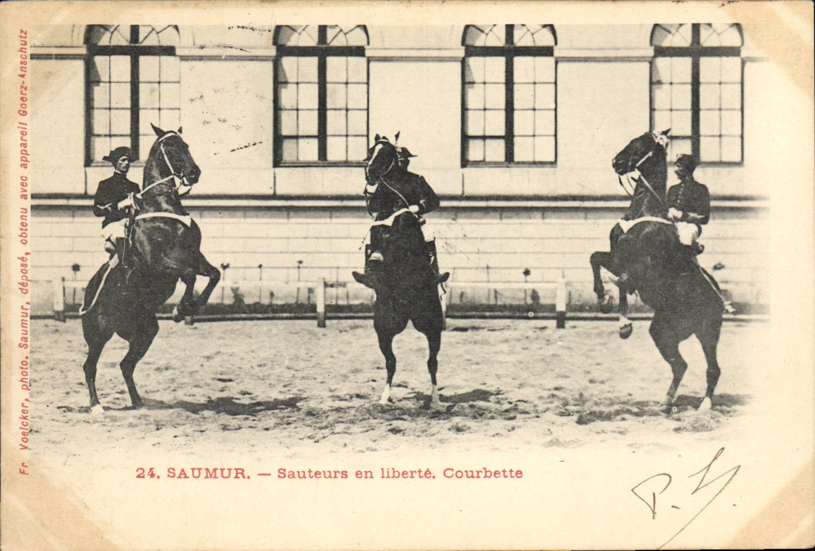 CPA Cheval Hippisme Saumur Sauteurs en liberte Courbette 