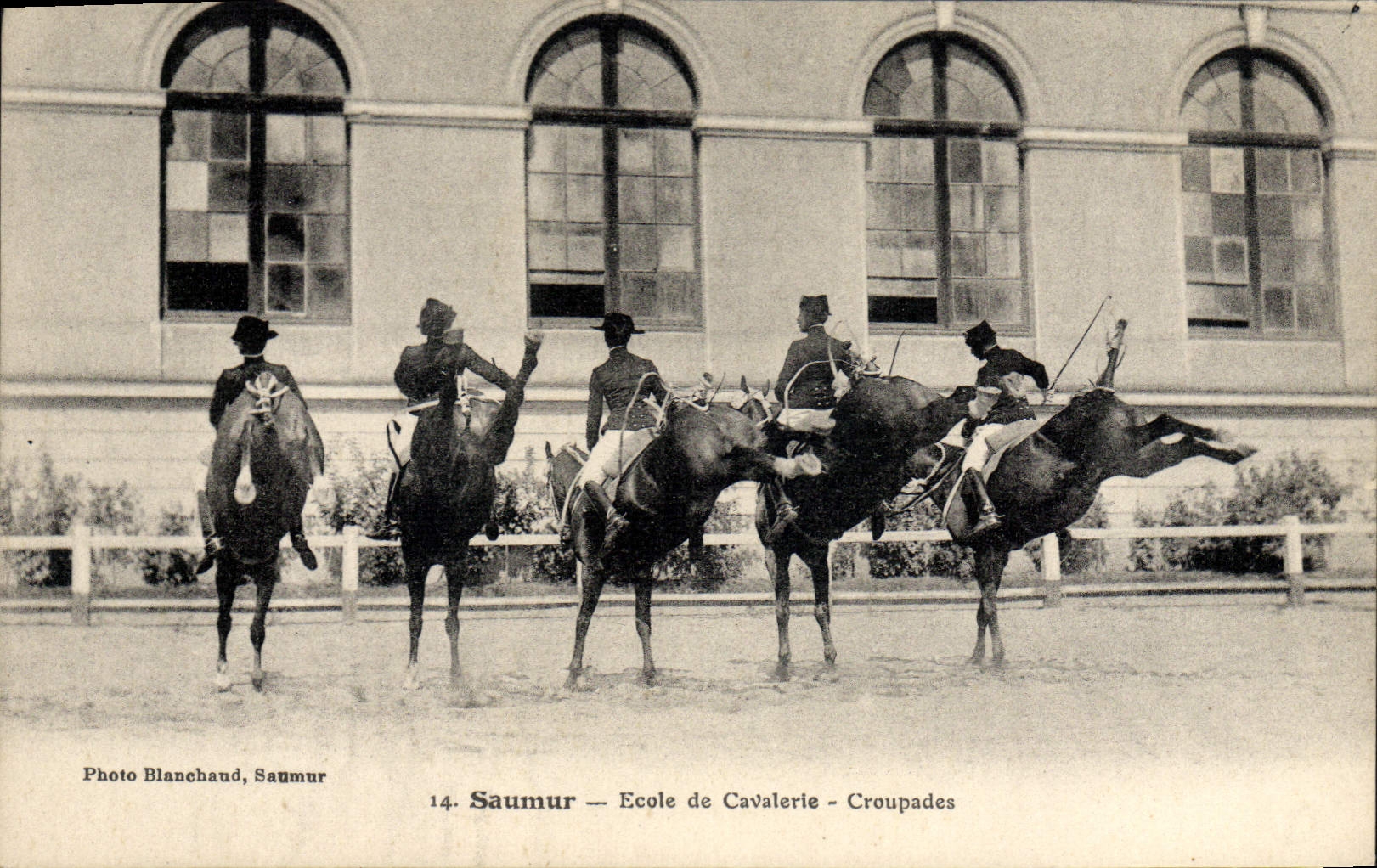 CPA Cheval Hippisme Saumur Ecole de cavalerie Croupades 