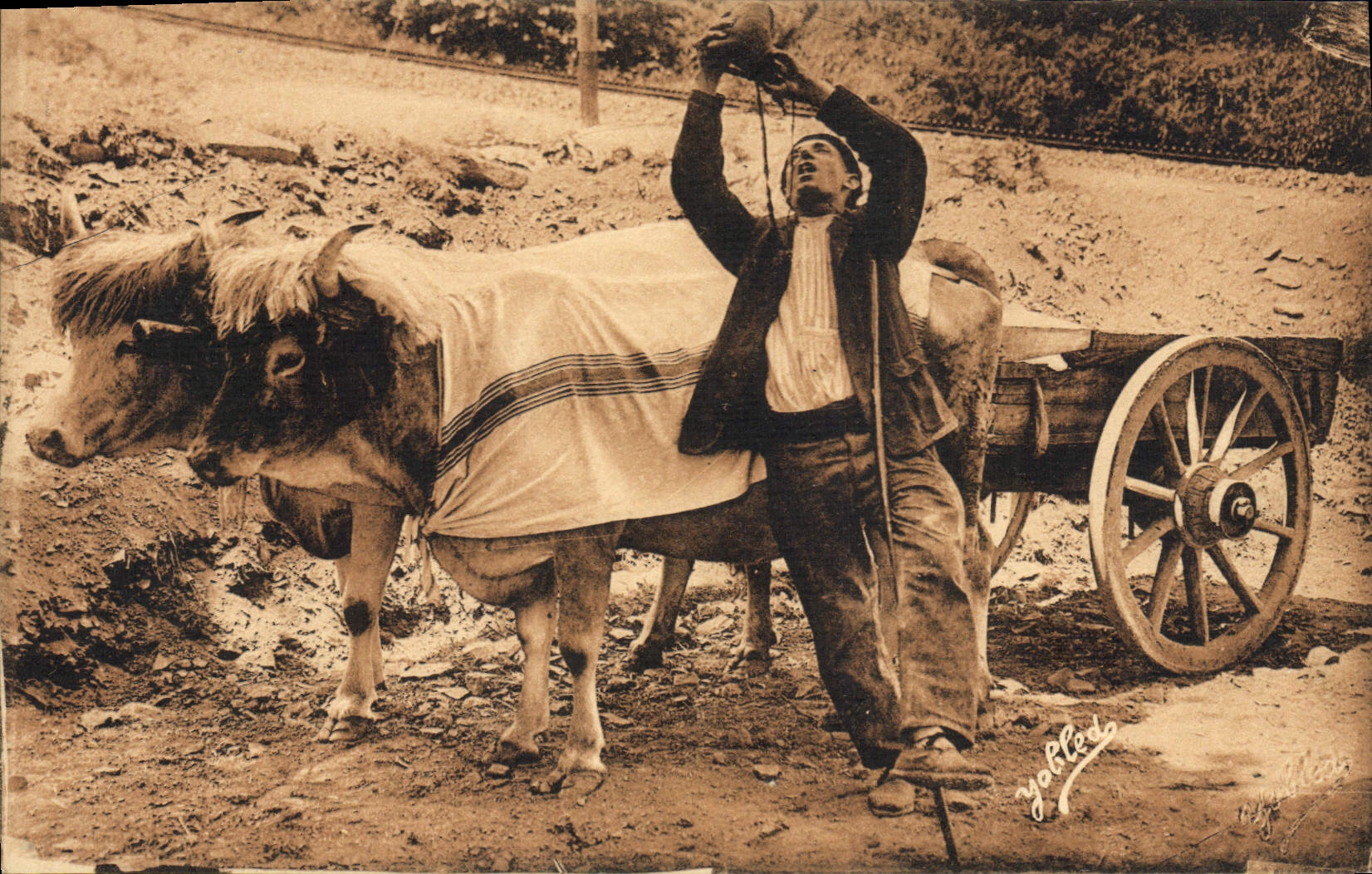 VINTAGE POSTCARD Folklore Basque Country the drinker Oxen Coach