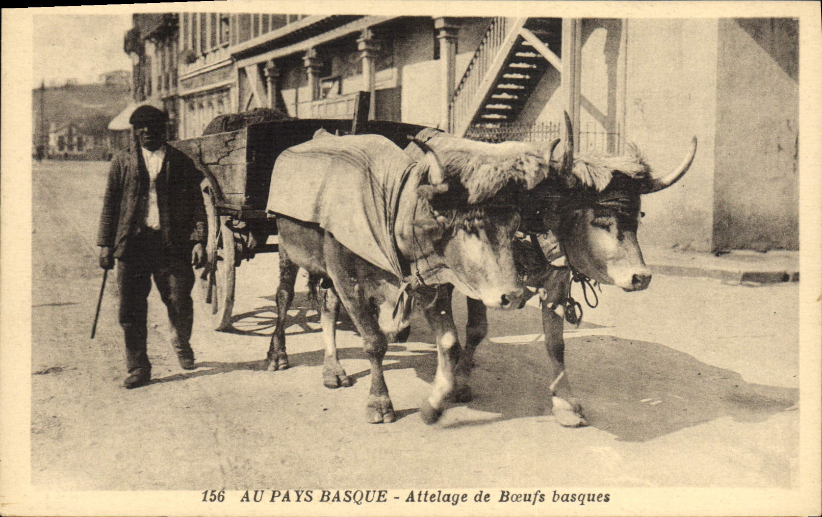 Folklore de la POSTAL de la VENDIMIA en el coche vasco del buey del país vasco