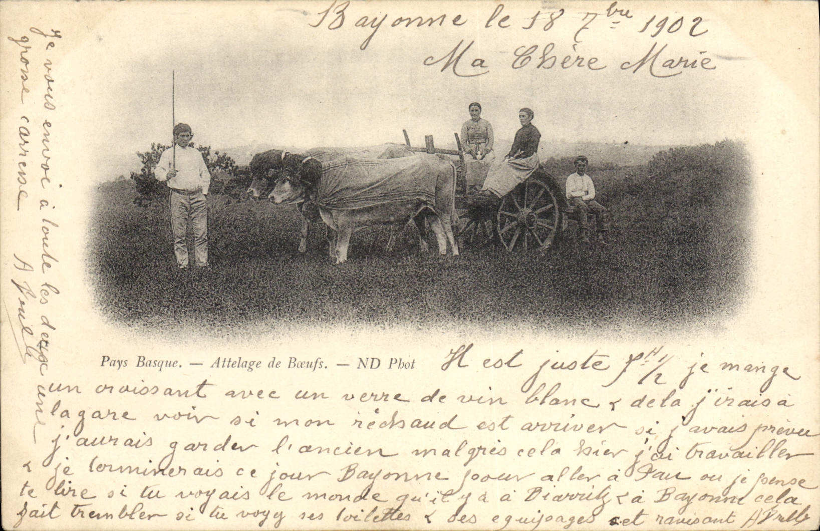 CPA Folklore Pays basque Attelage de boeufs 