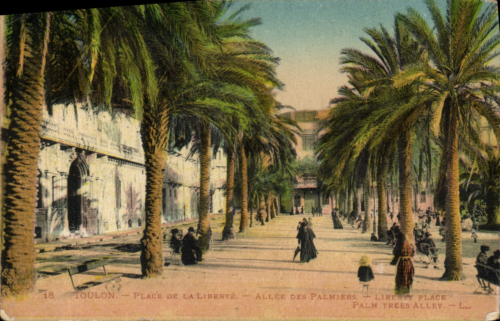 CPA Toulon Place de la Liberte Allee des palmiers 