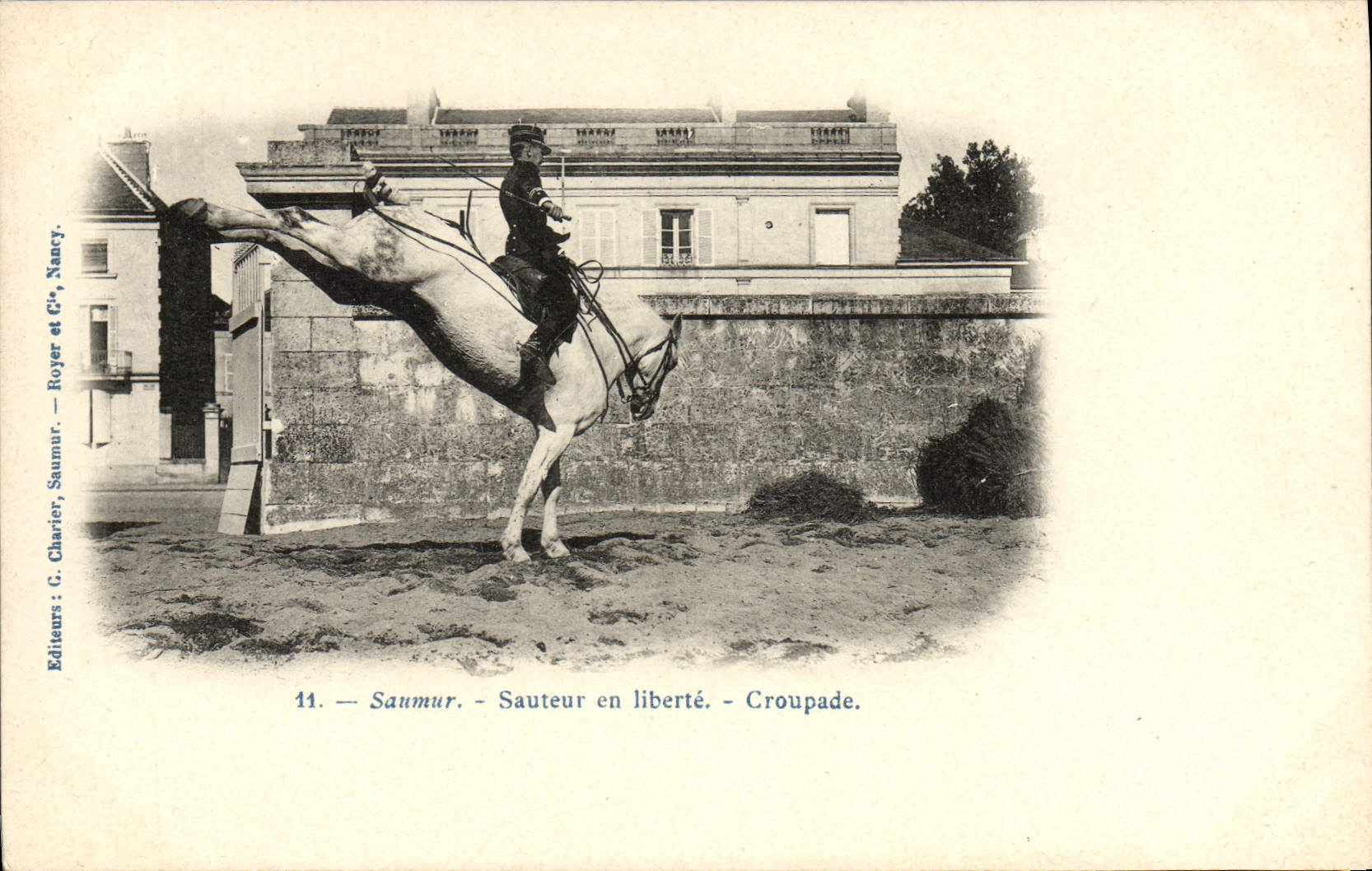 CPA Hippisme Cheval Saumur Sauteur en liberte Croupade