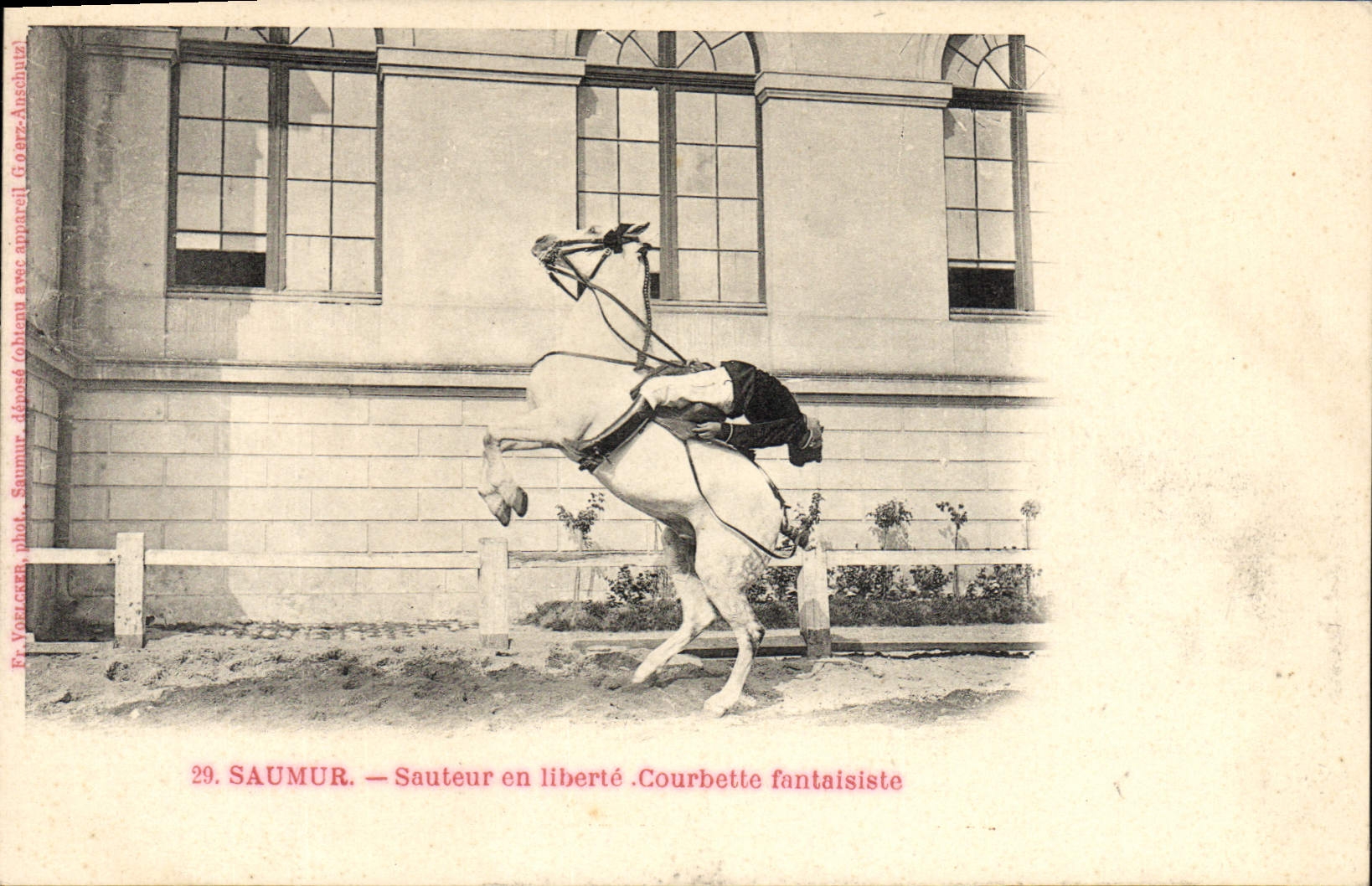 VINTAGE POSTCARD Hippisme Jumping Horse in whimsical Courbette freedom
