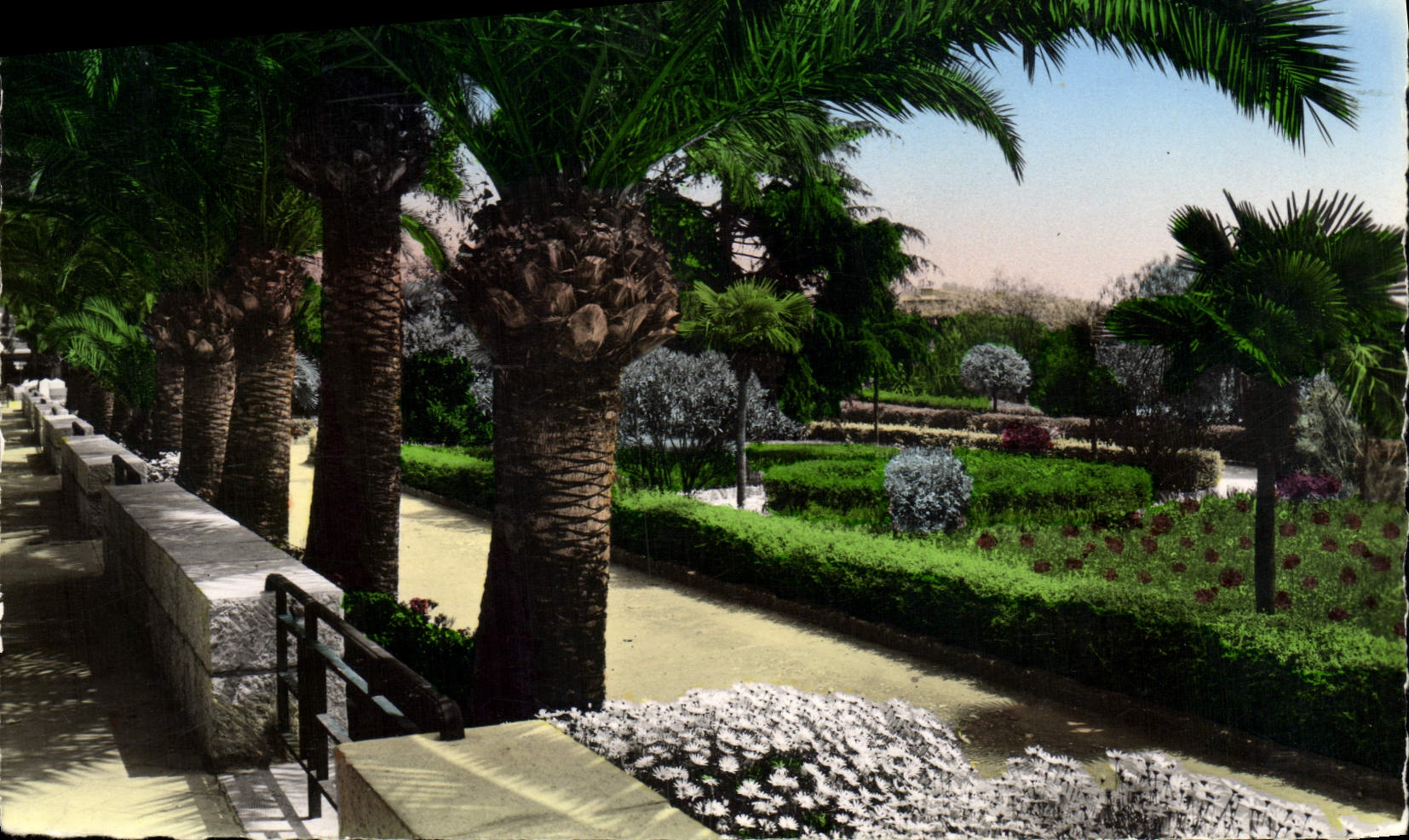 CPM Villefranche Sur mer La Promenade le Jardin public et la vegetation exotique