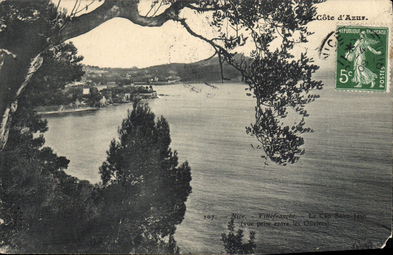 VINTAGE POSTCARD Villefranche On Sea the Holy Cape Jean Seen from between the Olive-trees