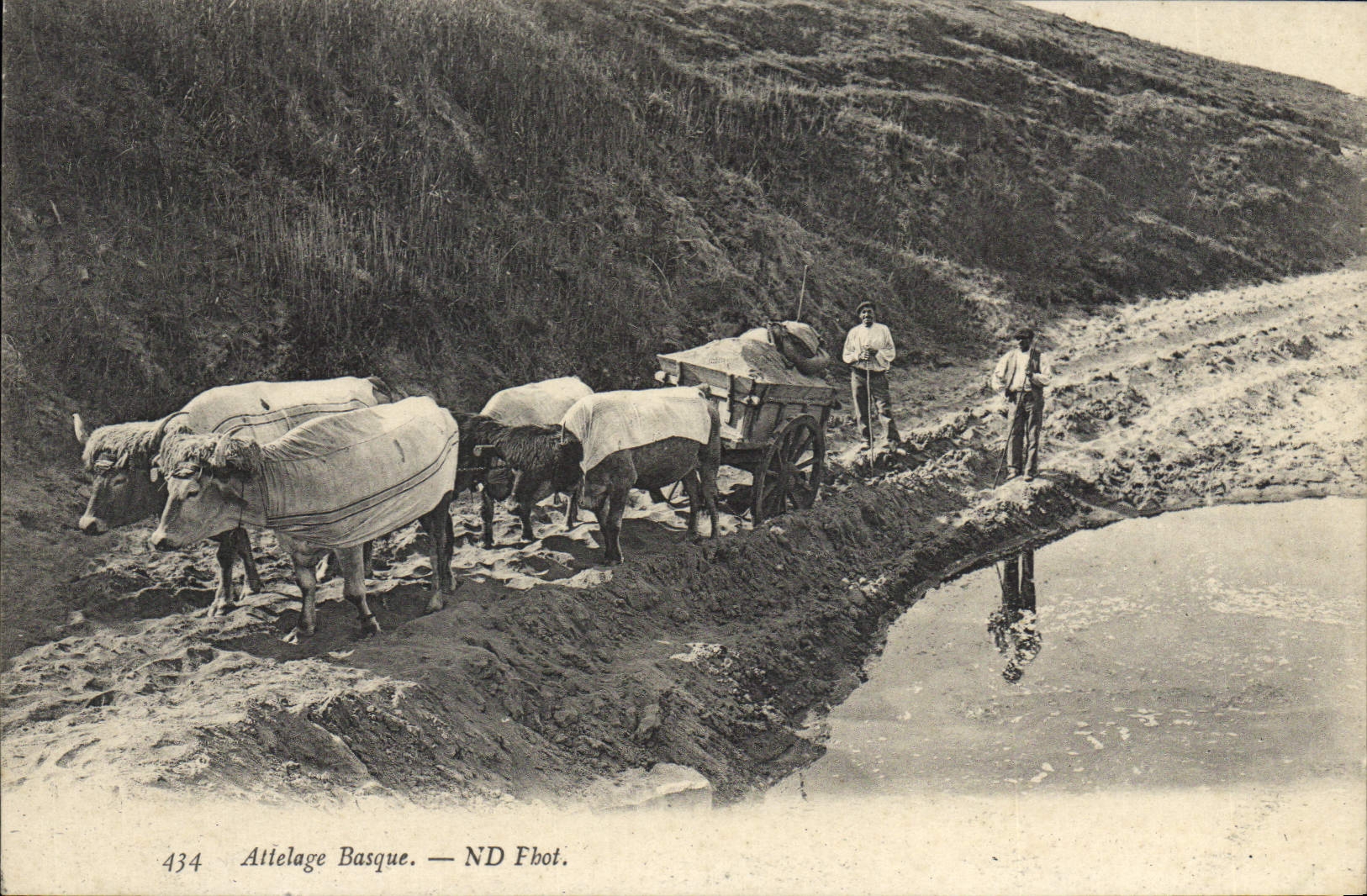 CPA Folklore Attelage Basque Boeufs