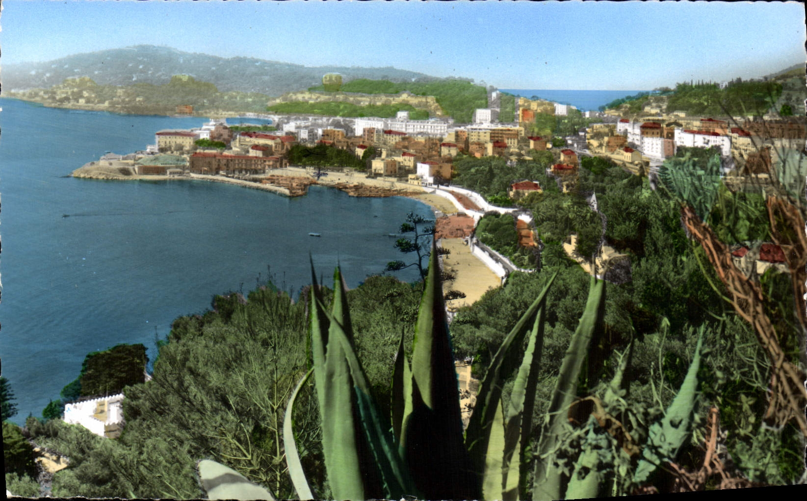 CPA Beaulieu Sur Mer Vue Generale