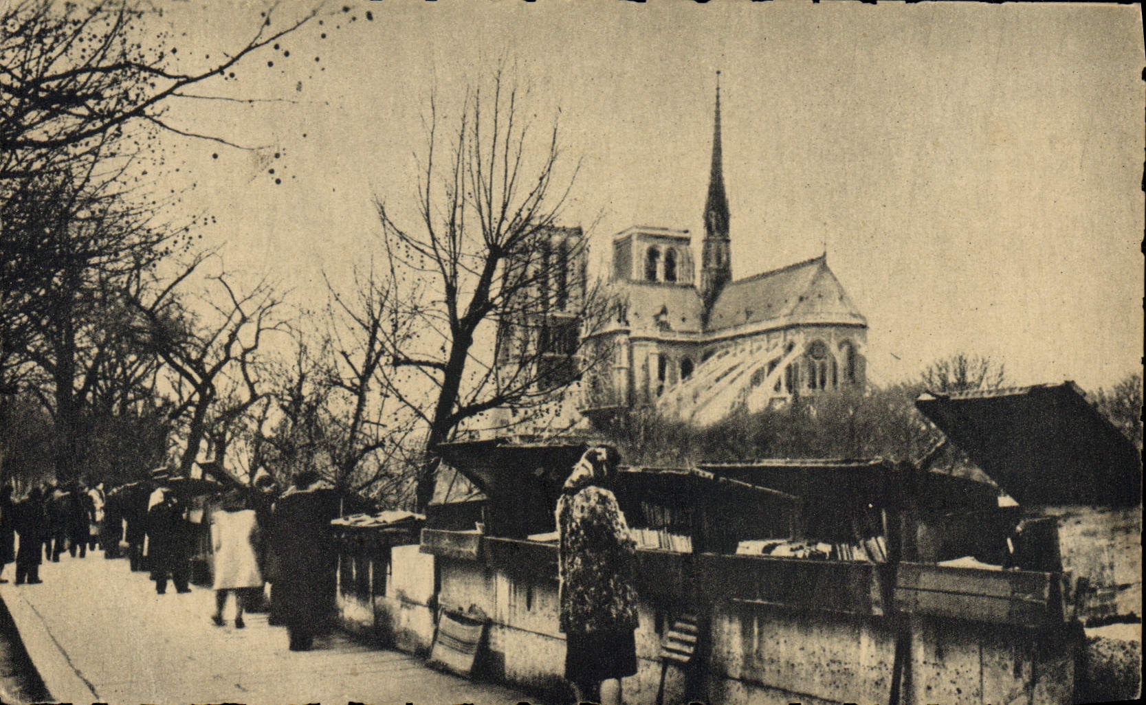 CPA Paris Notre Dame Les bouquinistes sur les quais de la Seine