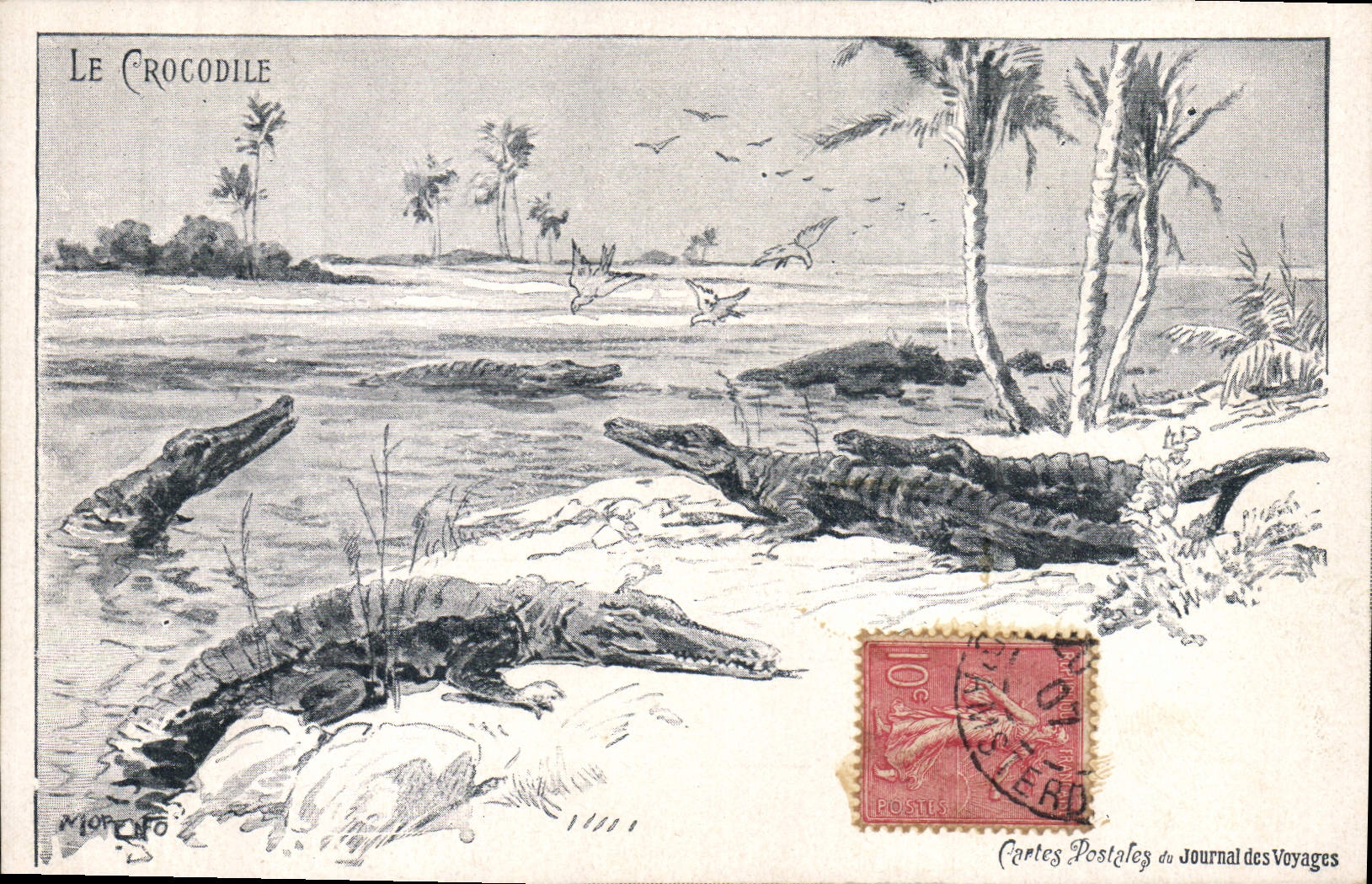 CPA Crocodile 