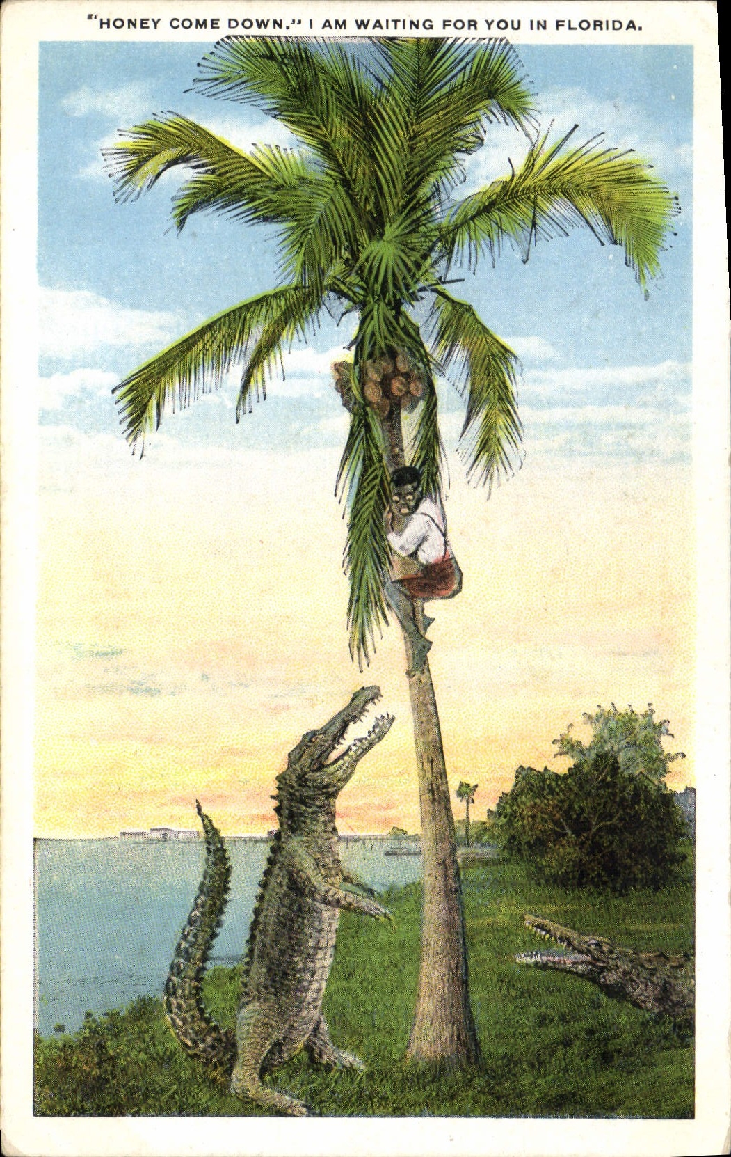 Cocodrilo la Florida la Florida de la POSTAL de la VENDIMIA