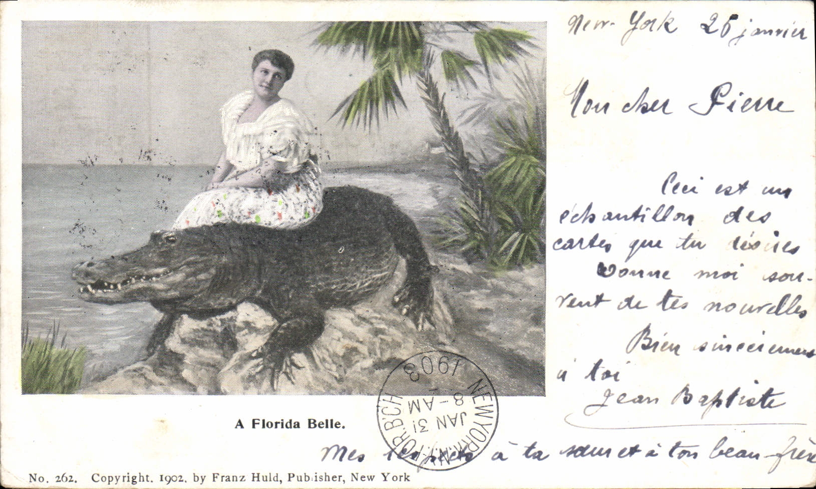 VINTAGE POSTCARD Florida Belle has