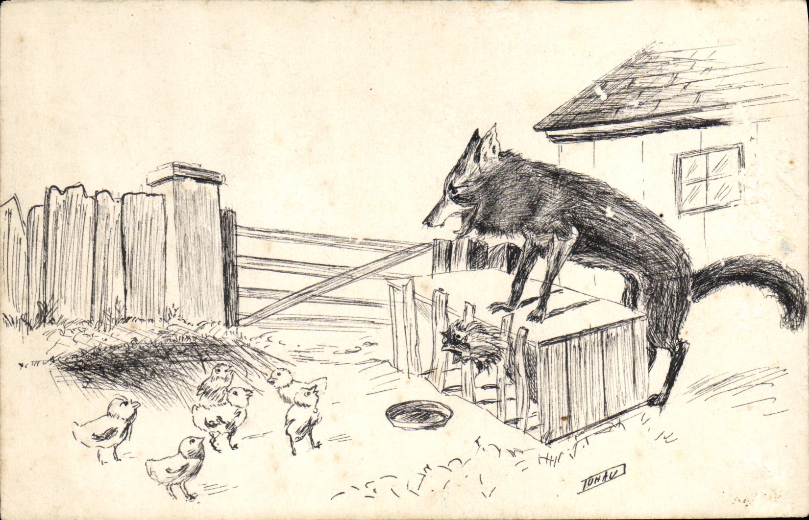 VINTAGE POSTCARD Wolf Chicks