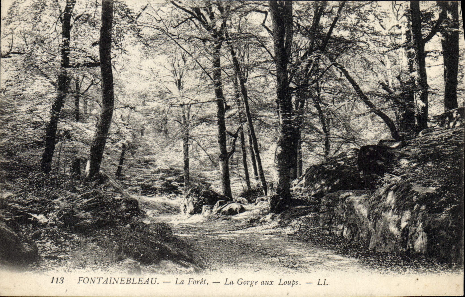 CPA Fontainebleau La Foret La Gorge Aux Loups