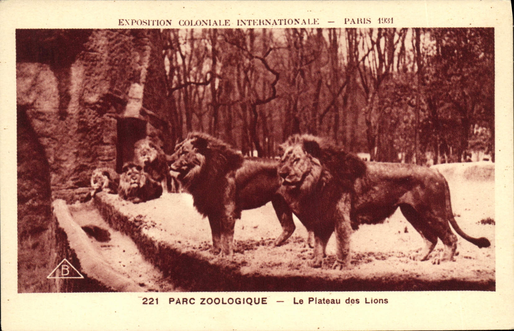 CPA Paris Exposition coloniale internationale 1931 Jardin zoologique Le plateau des lions