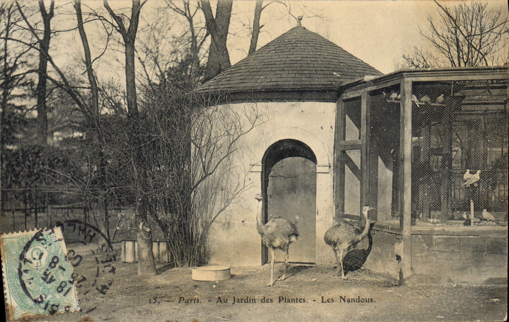 VINTAGE POSTCARD Parsi Botanical garden nandous