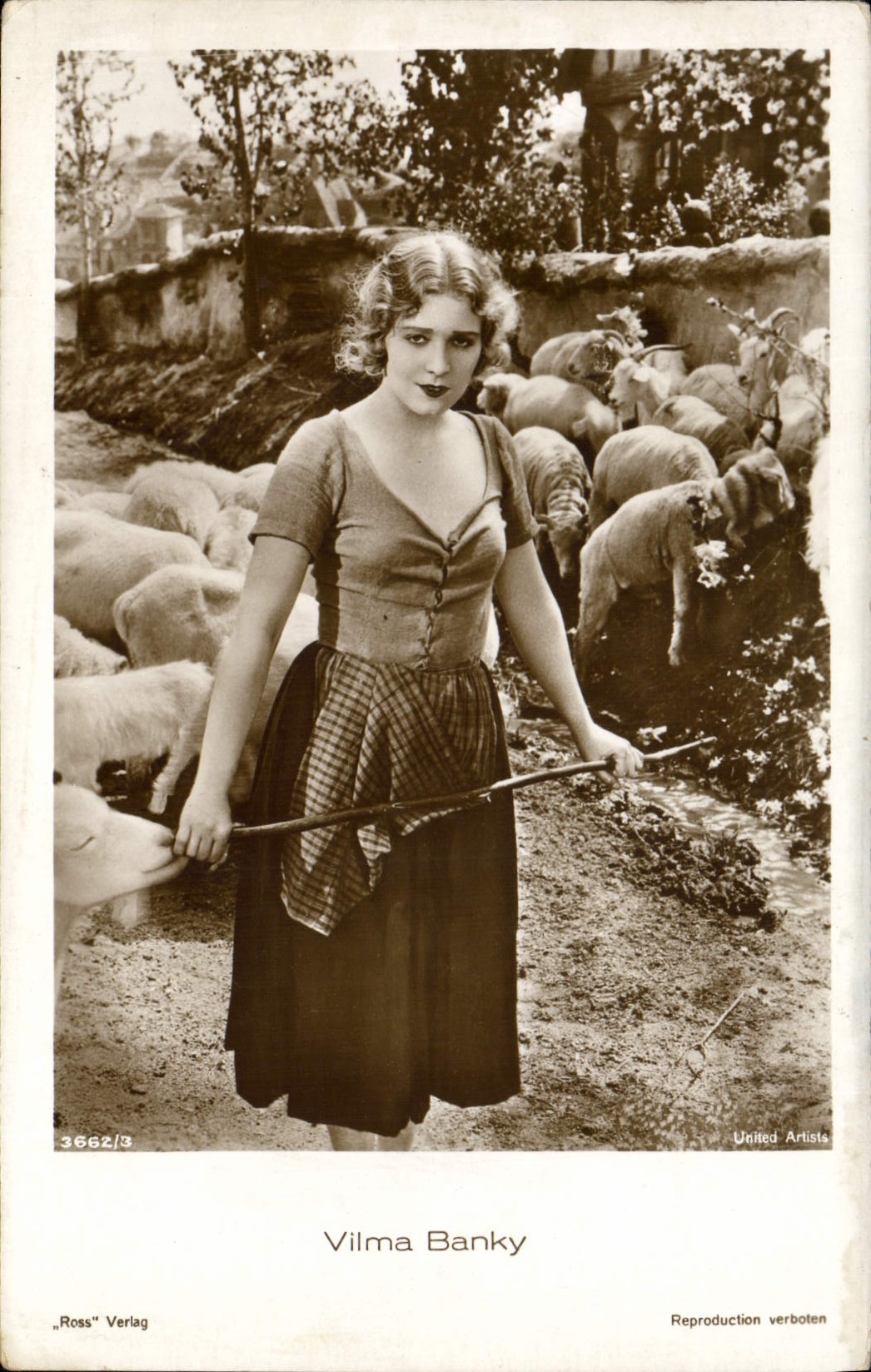 CPM Cinema Vilma Banky 