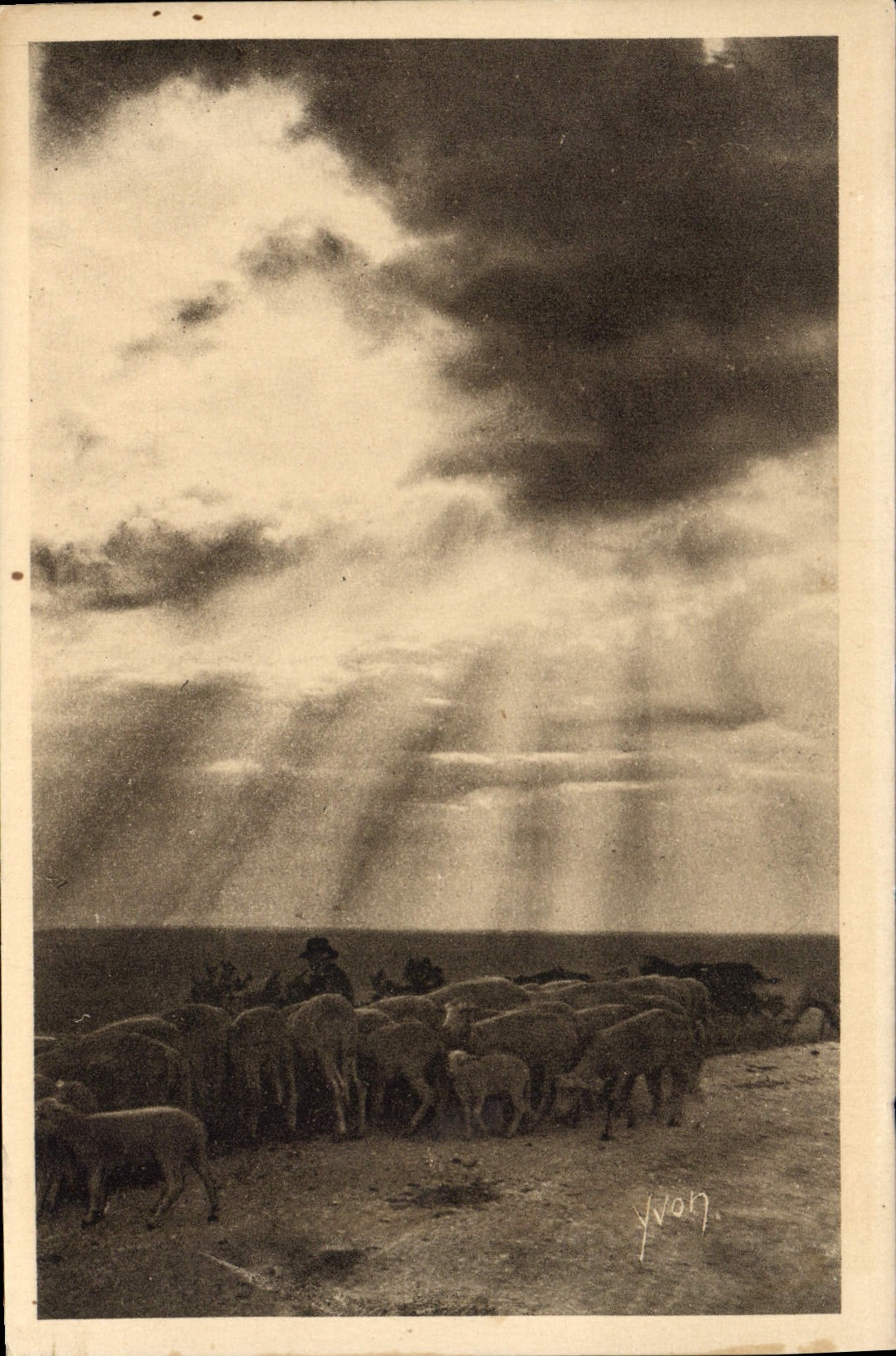 CPA Paysages Et Pierres De Provence Coucher De Soleil