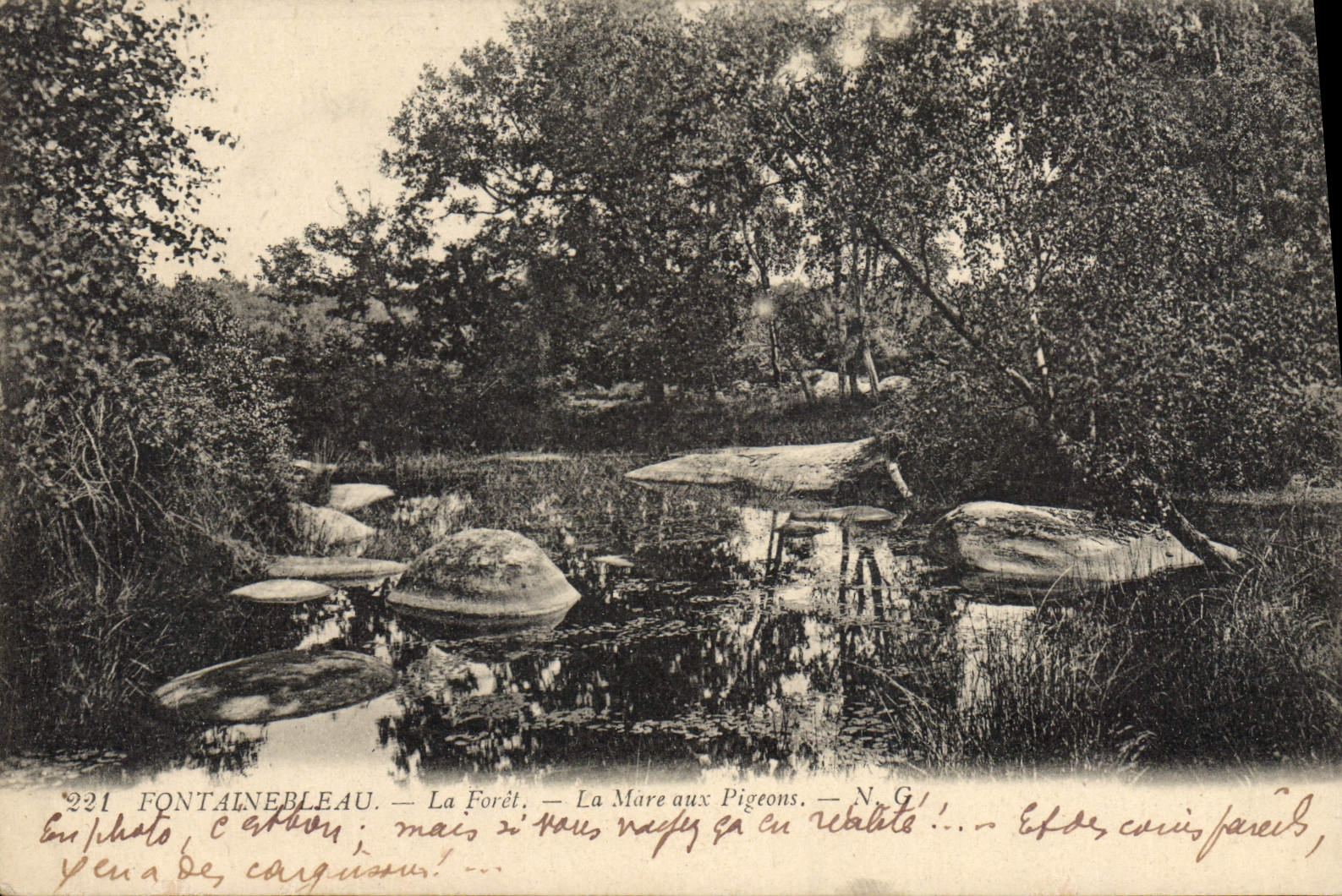 VINTAGE POSTCARD Fontainebleau the Drill the pond with the pigeons
