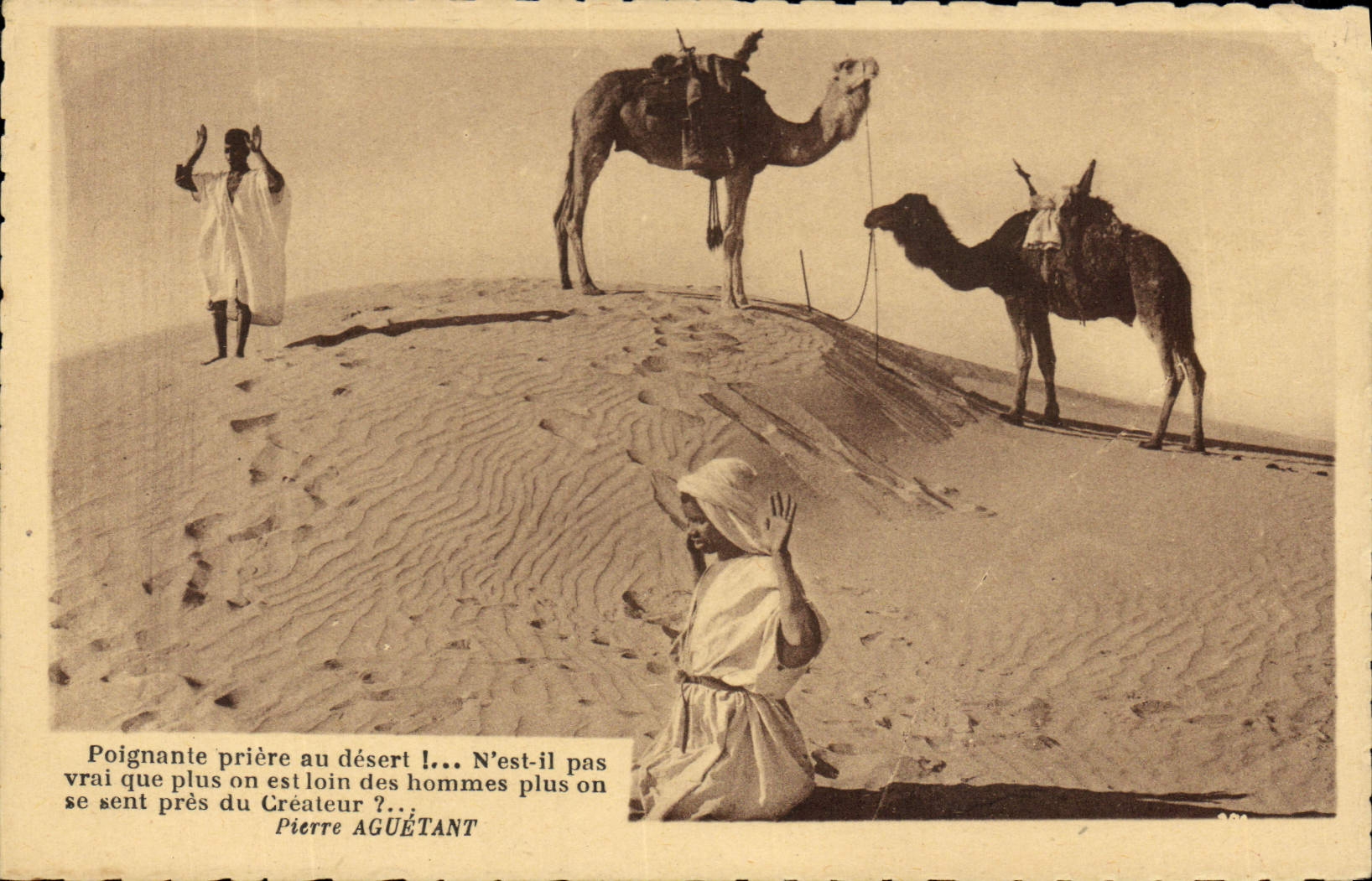 VINTAGE POSTCARD Camel Dromedary Islam Prayer with the desert Serves