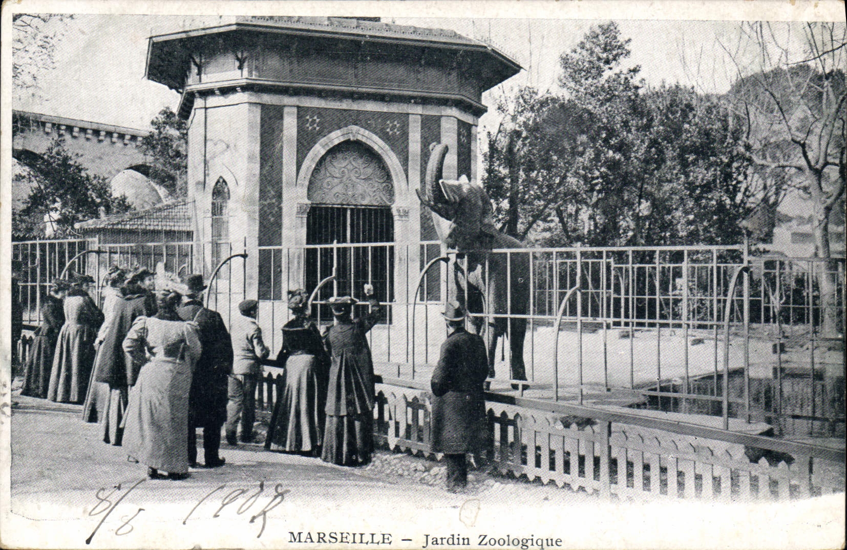 CPA Zoo Marseille Jardin zoologique Elephant