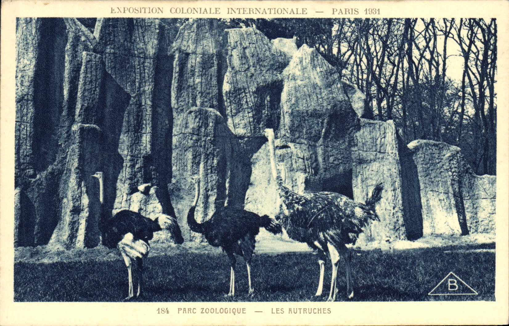 VINTAGE POSTCARD Zoo Paris Fair colonial international 1931 Zoological gardens ostriches