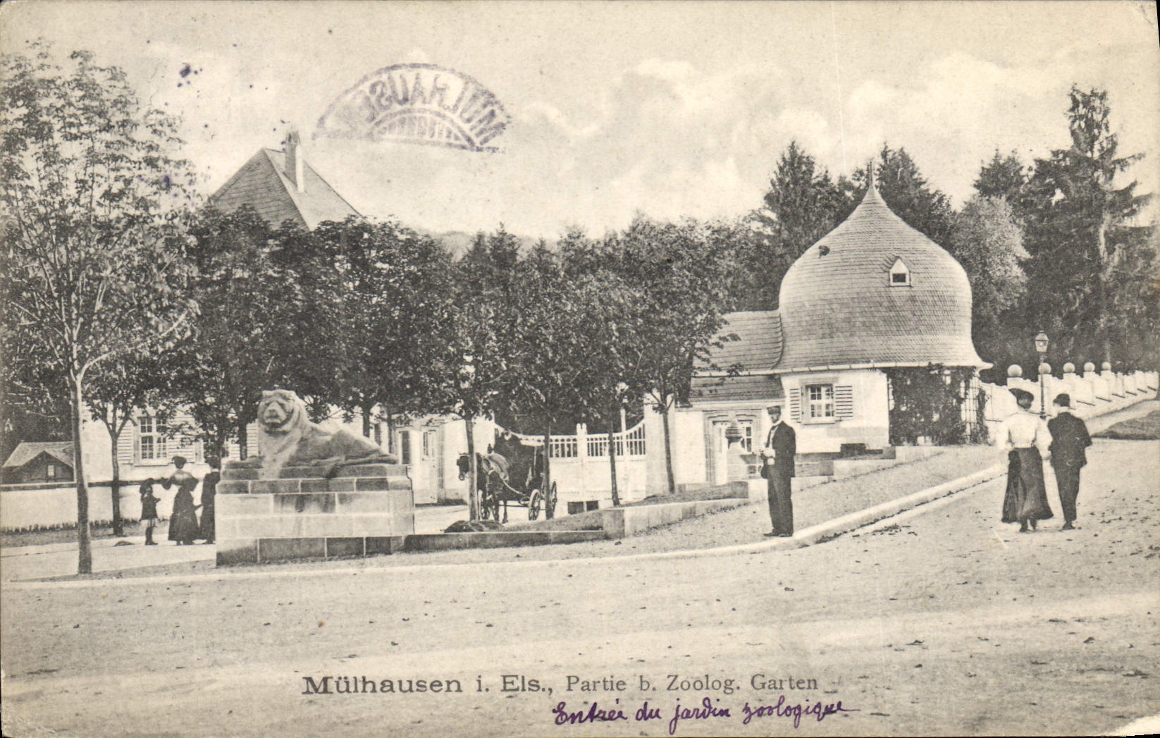 VINTAGE POSTCARD Zoo Mulhausen I Eis Left B Zoolog garden Mulhouse Lion