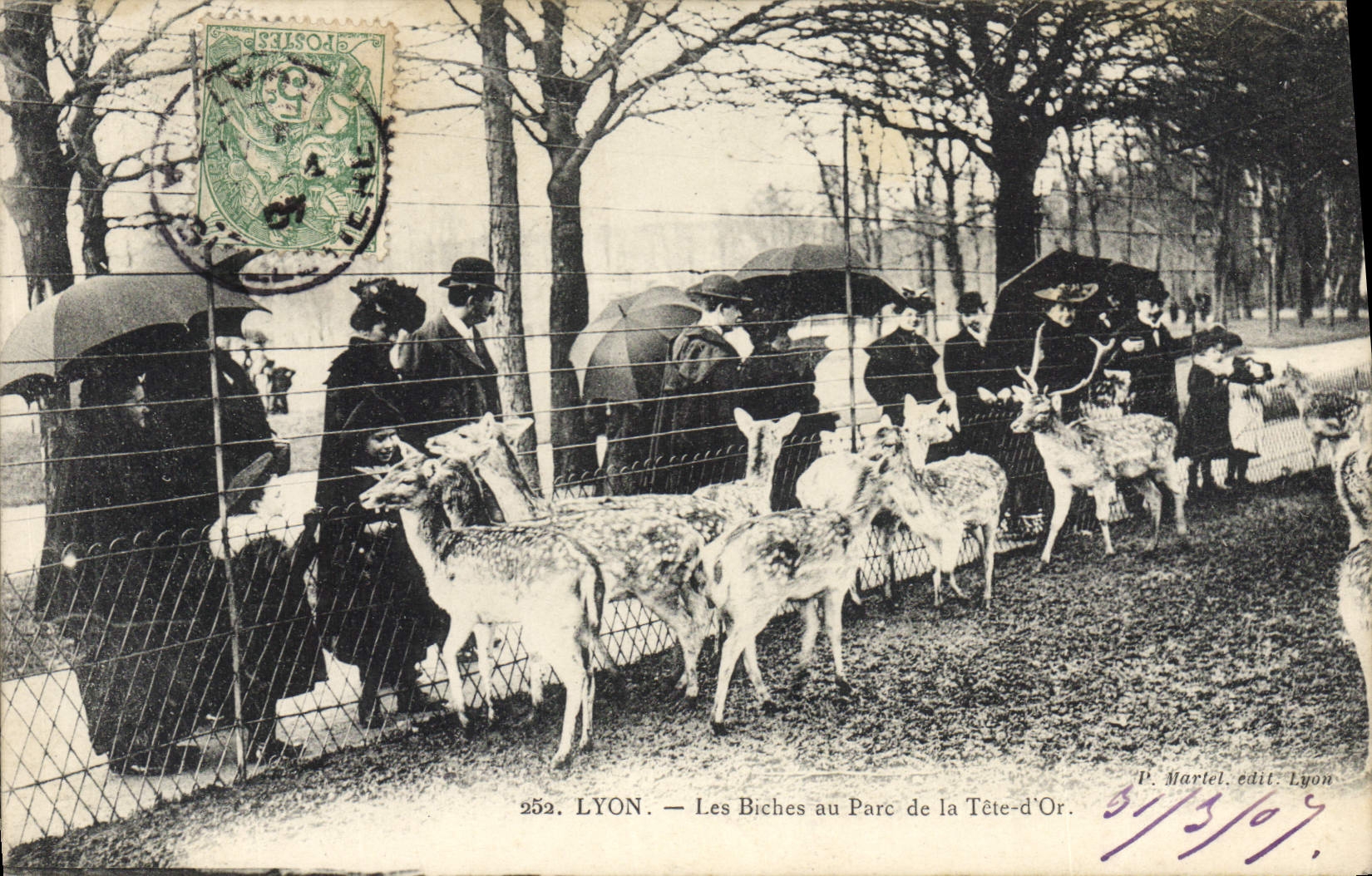 VINTAGE POSTCARD Zoo Lyon hinds with the park of the Gold Head