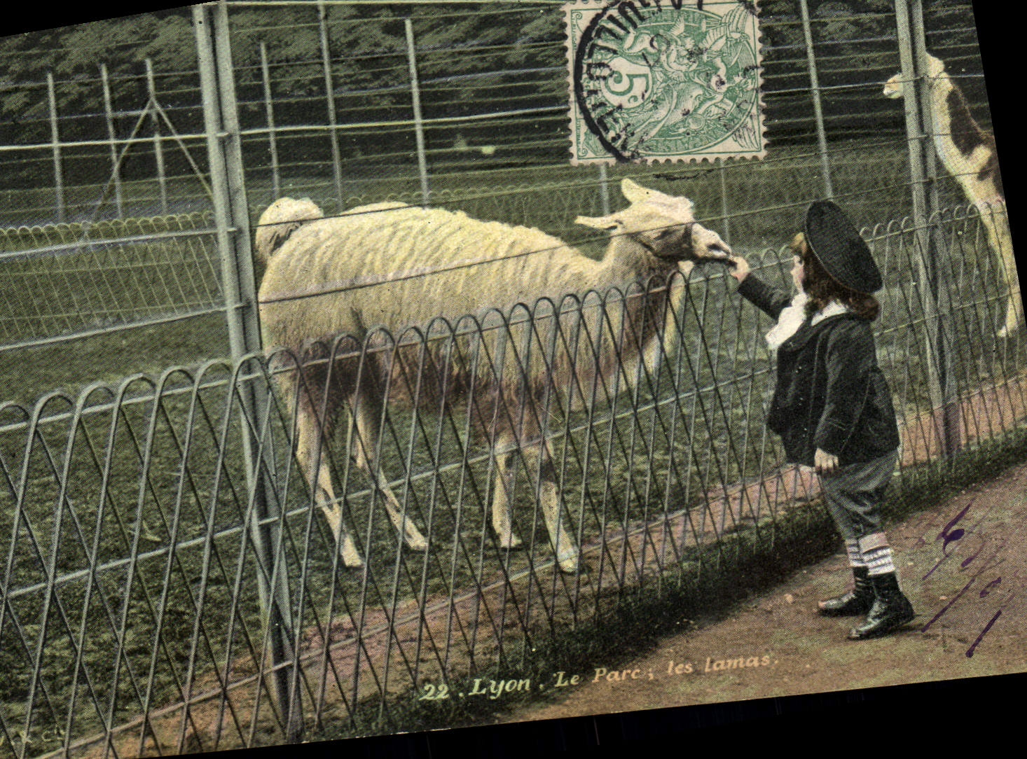 VINTAGE POSTCARD Zoo Lyon the park spangled Them