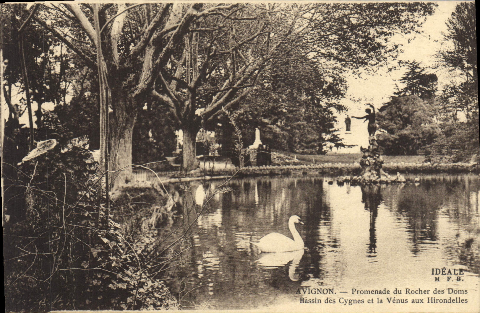 VINTAGE POSTCARD Avignon Walk of the Rock of Doms Basin of the swans and Come to the Swallows Swan