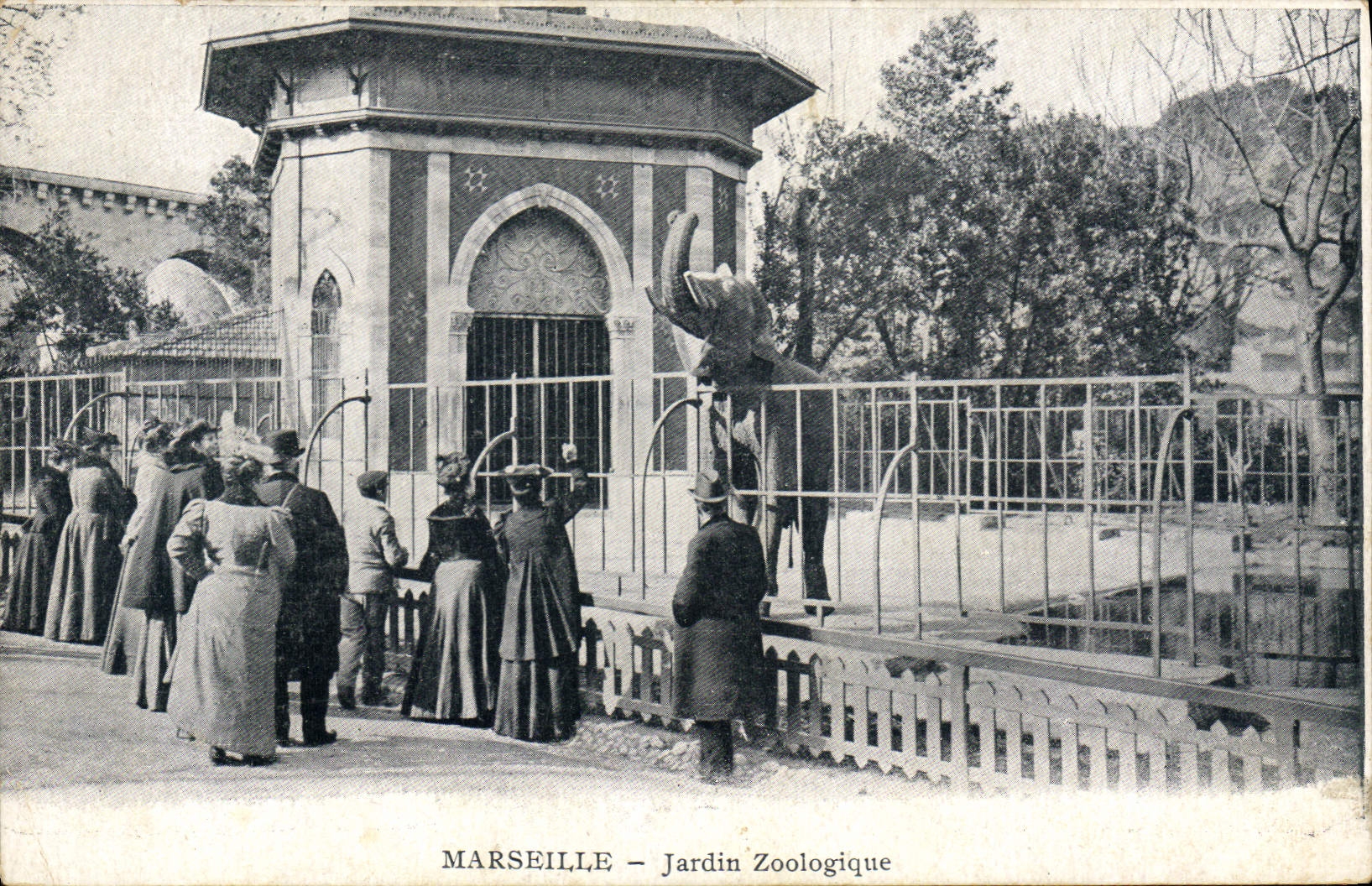 CPA Marseille Jardin zoologique Elephant