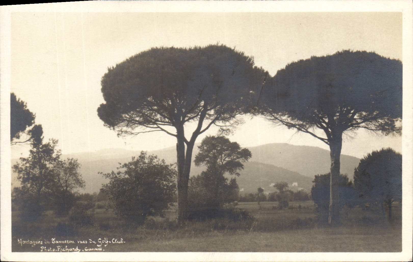 VINTAGE POSTCARD Mountains of Tanneron seen of the Golf Club