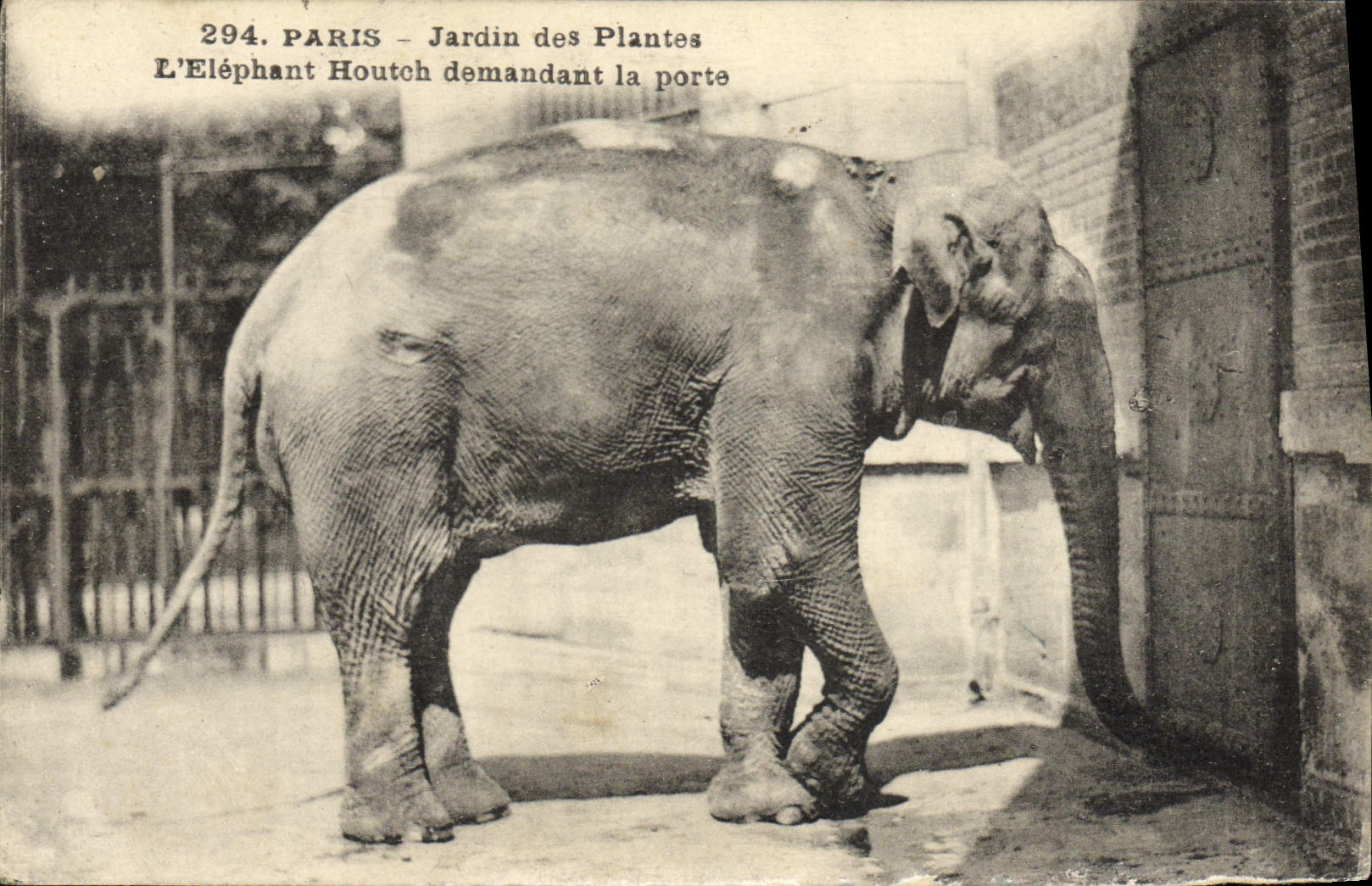 CPA Elephant Paris Jardin des plantes L'elephant Houthc demandant la porte