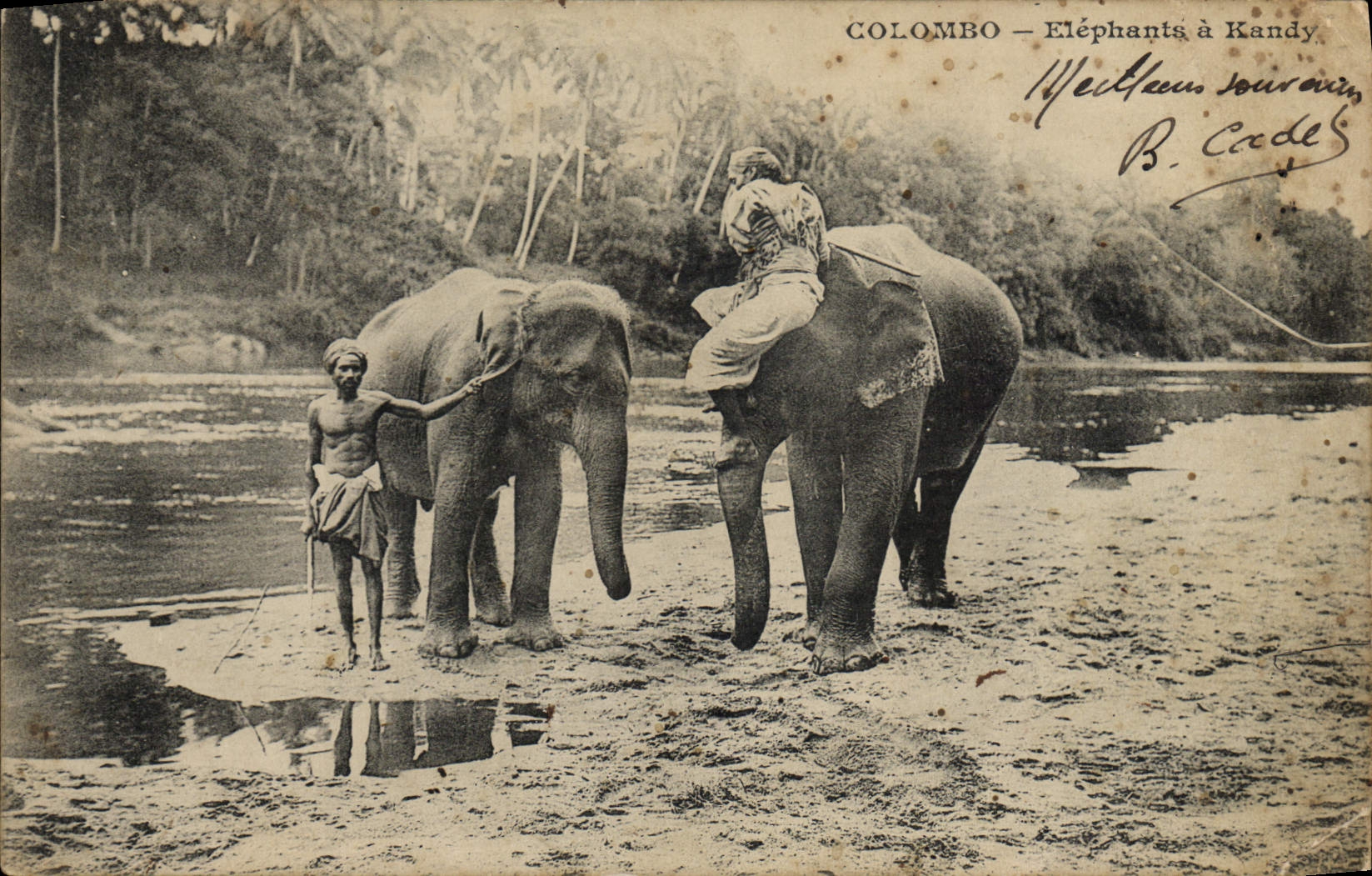 CPA Elephant Colombo Elephants a Kandy