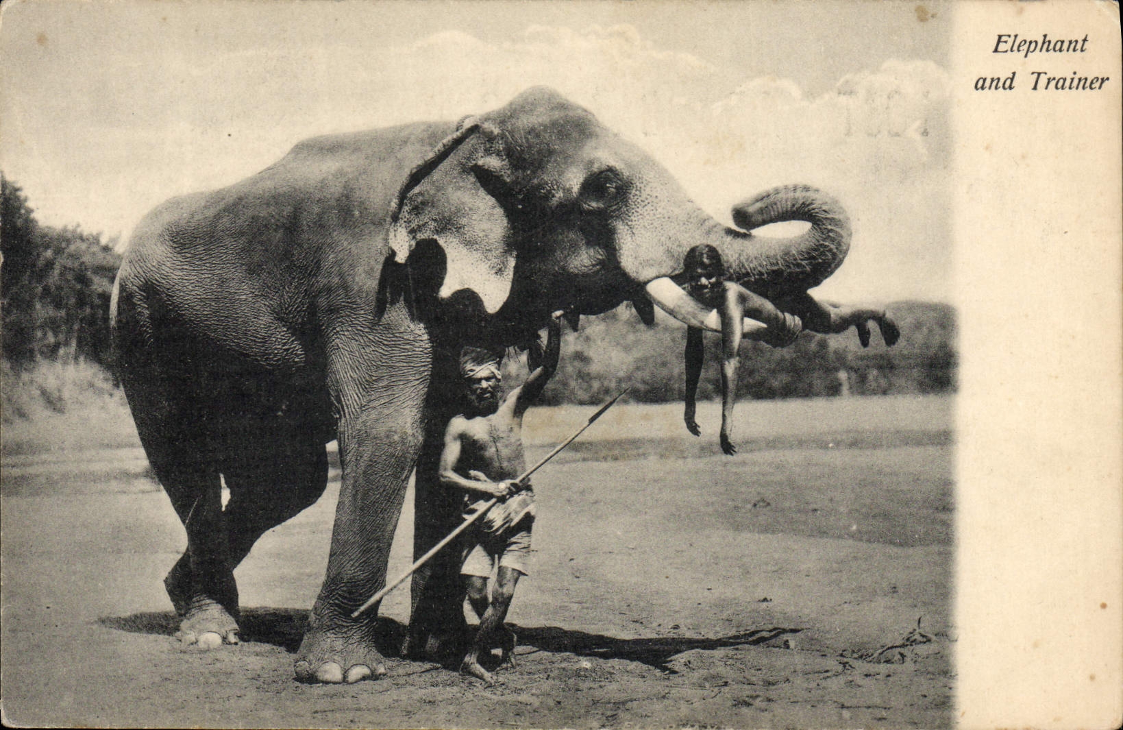 CPA Elephant and trainer