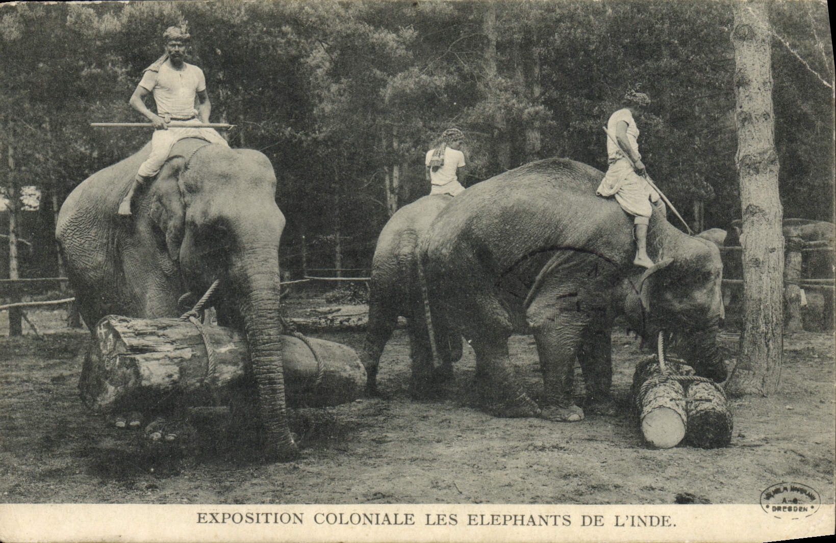 CPA Elephant Exposition coloniale internationale de l'Inde 