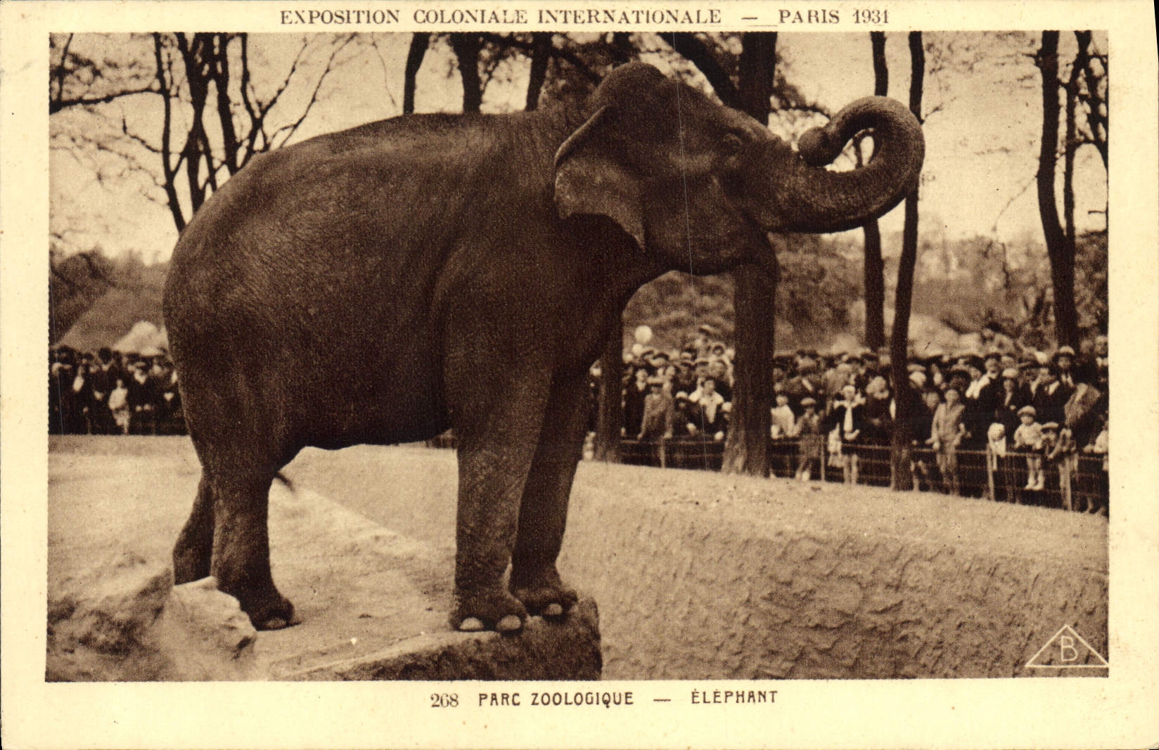 CPA Elephant Exposition coloniale internationale Paris 1931 Parc zoologique 