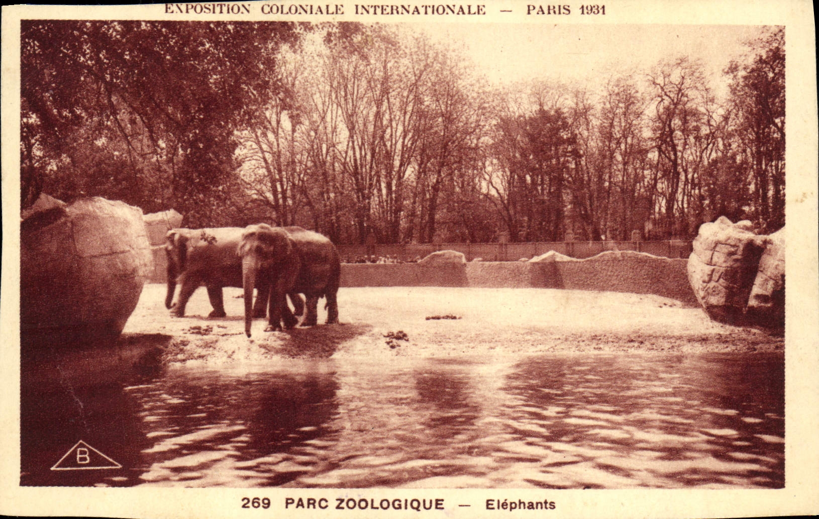 CPA Elephant Exposition coloniale internationale Paris 1931 Elephants