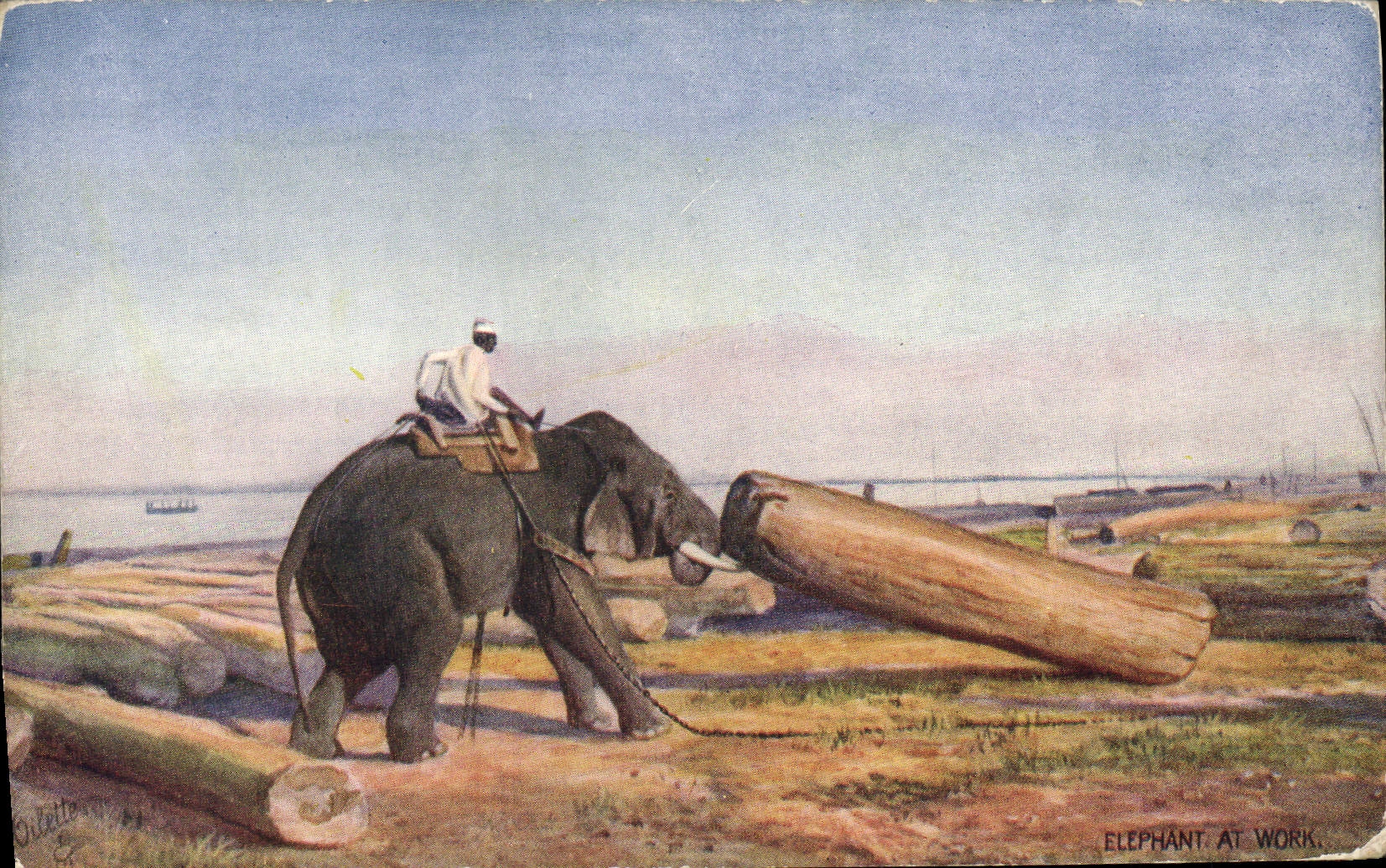CPA Elephant at work