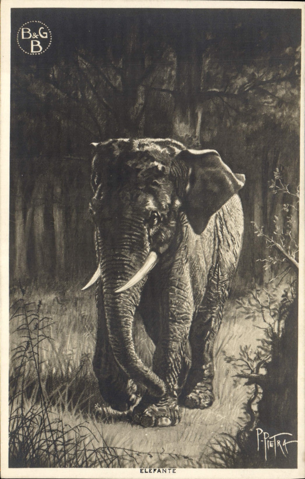 CPA Elephant Elefante 