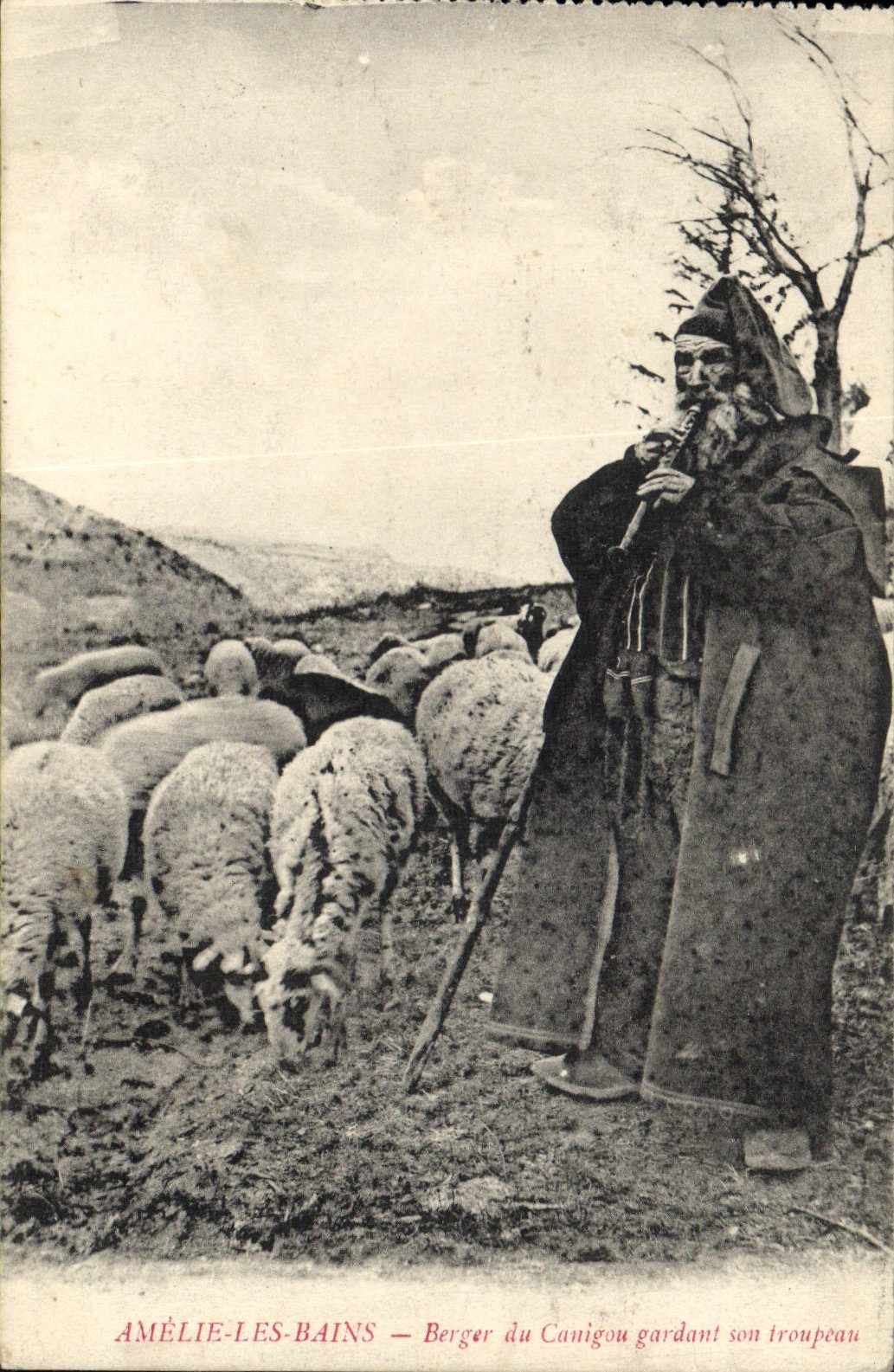 CPA Folklore Amelie les Bains Berger du Canigou gardant son troupeau Moutons
