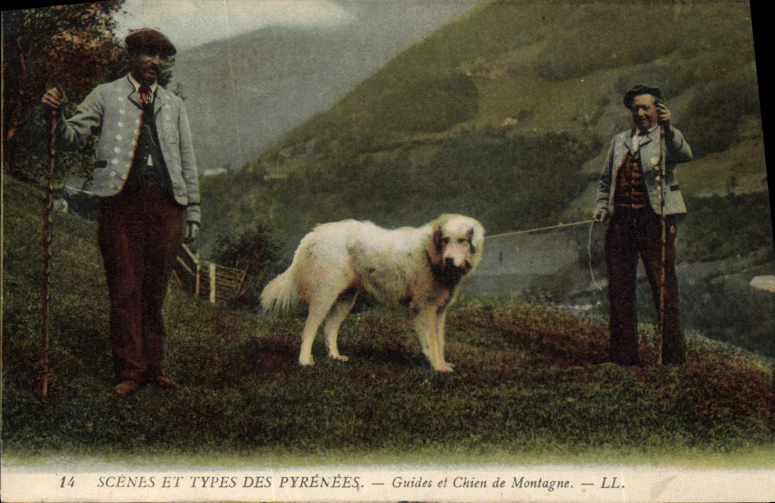 CPA Folklore Pyrenees Guides et chien de montagne