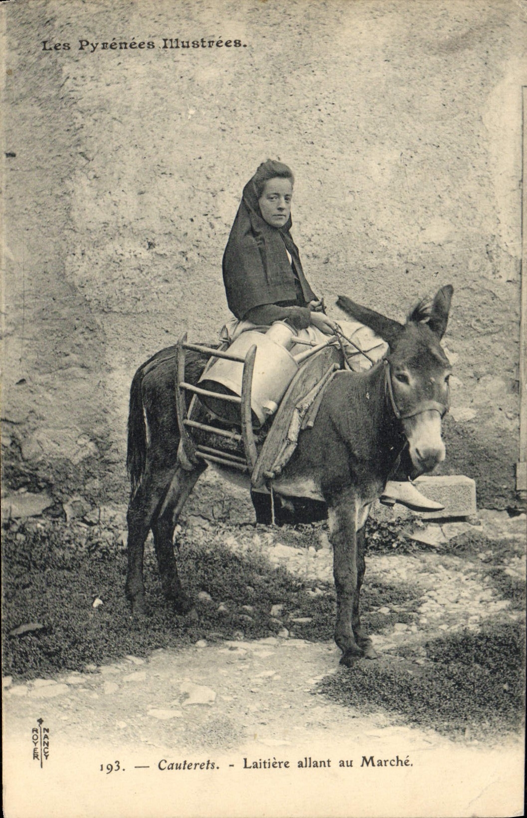 CPA Folklore Cauterets laitiere allant au marche Ane Mule Pyrenees 