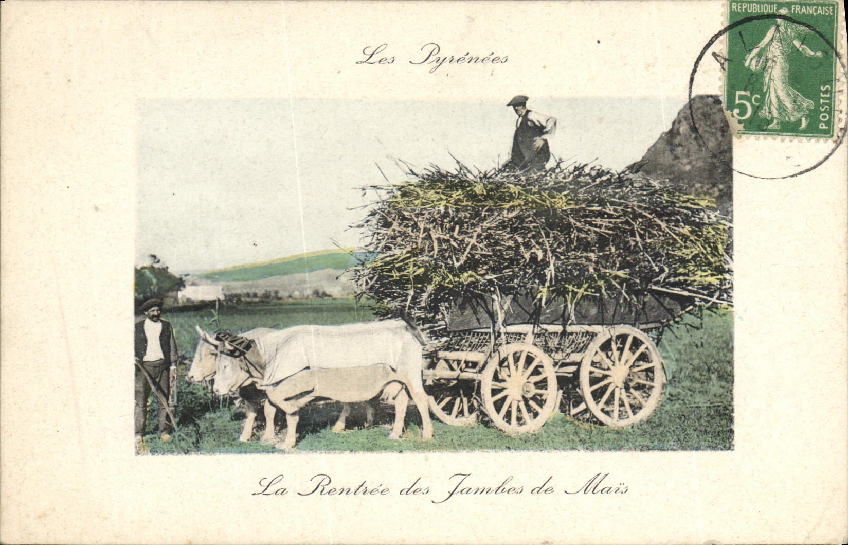 CPA Folklore Pyrenees La rentree des jambes de mais Attelage